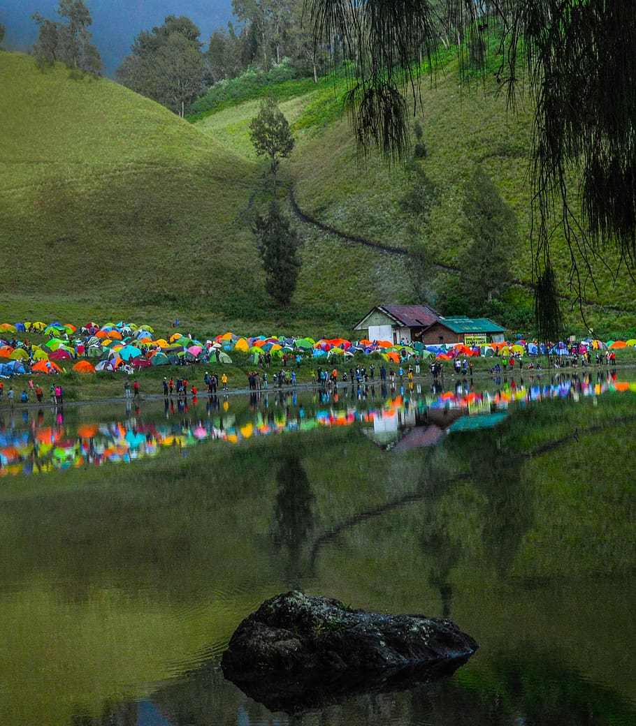 910x1040 Ranu kumbolo 1080P, 2K, 4K, 5K HD wallpaper free download, sort