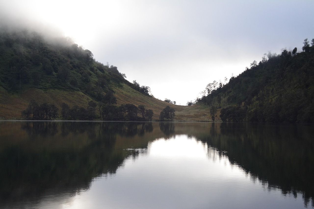 1280x854 Free Ranu Kumbolo & Polar Bear Image