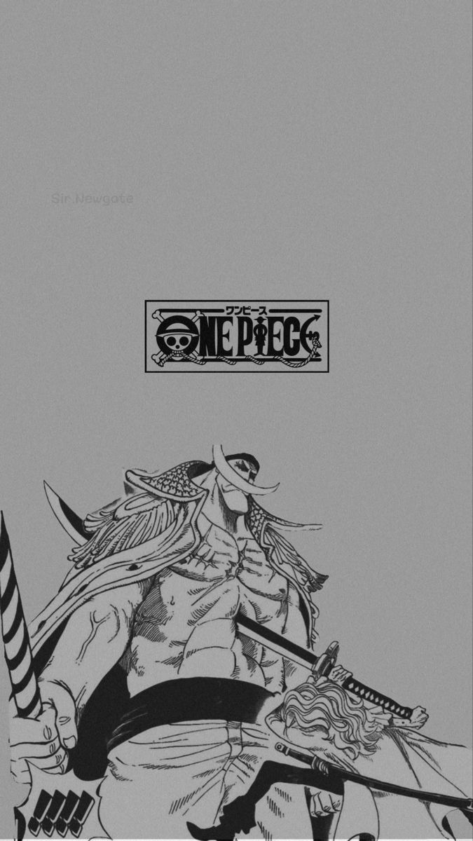 675x1200 White beard one piece