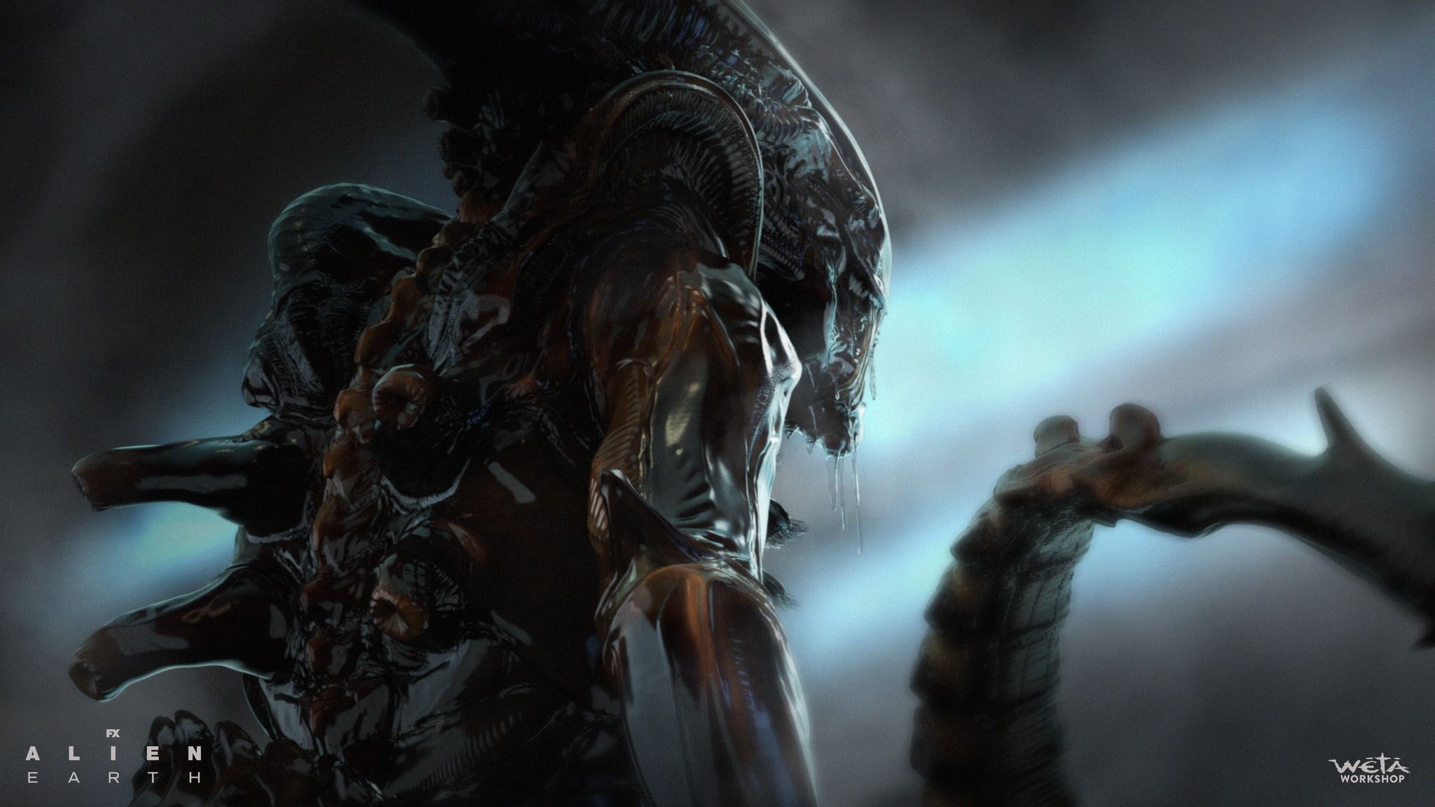 2048x1152 Weta Workshop Shares Alien: Earth Xenomorph Concept Art vs. Predator Galaxy