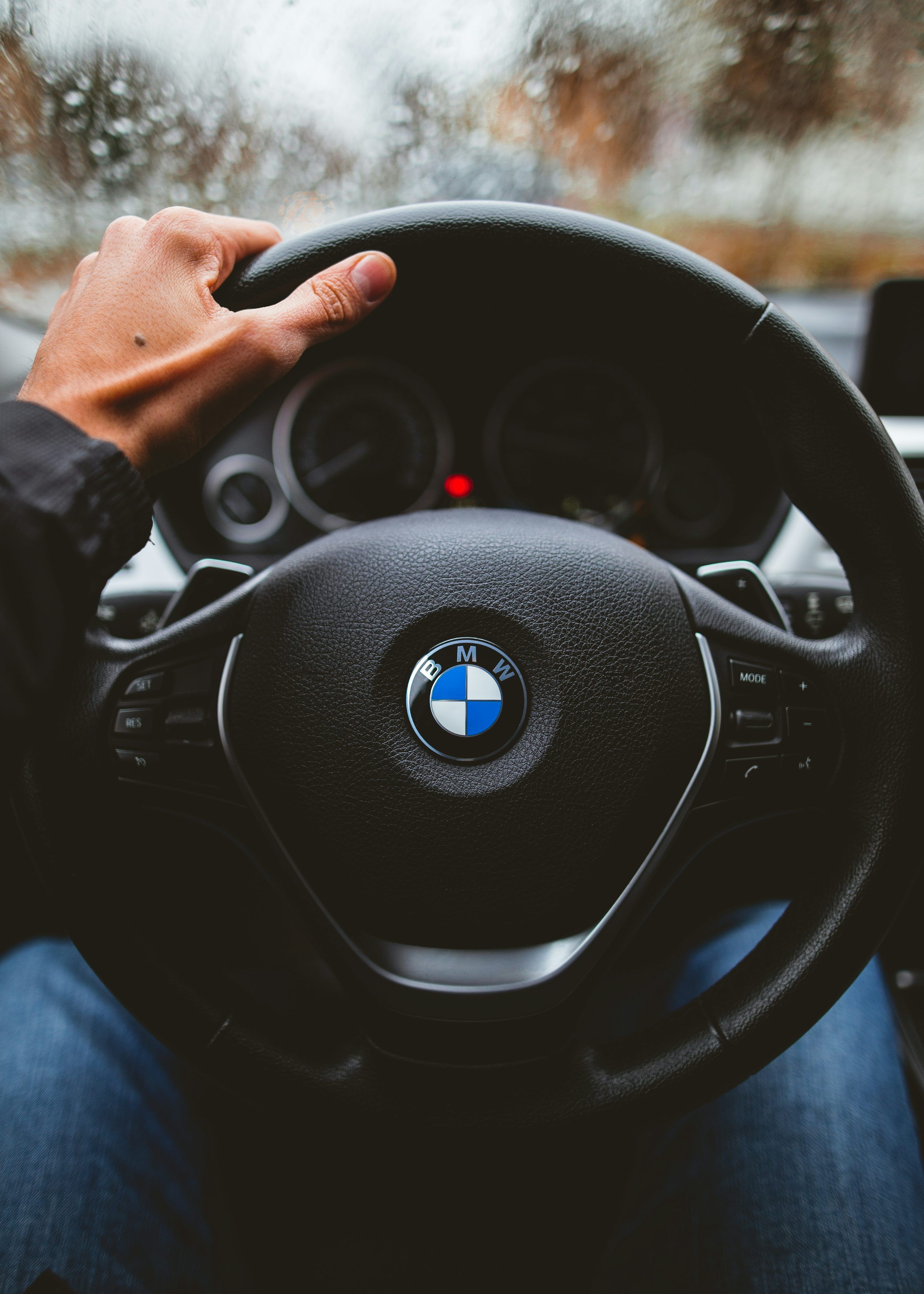 3000x4200 Person holding BMW vehicle steering wheel photo