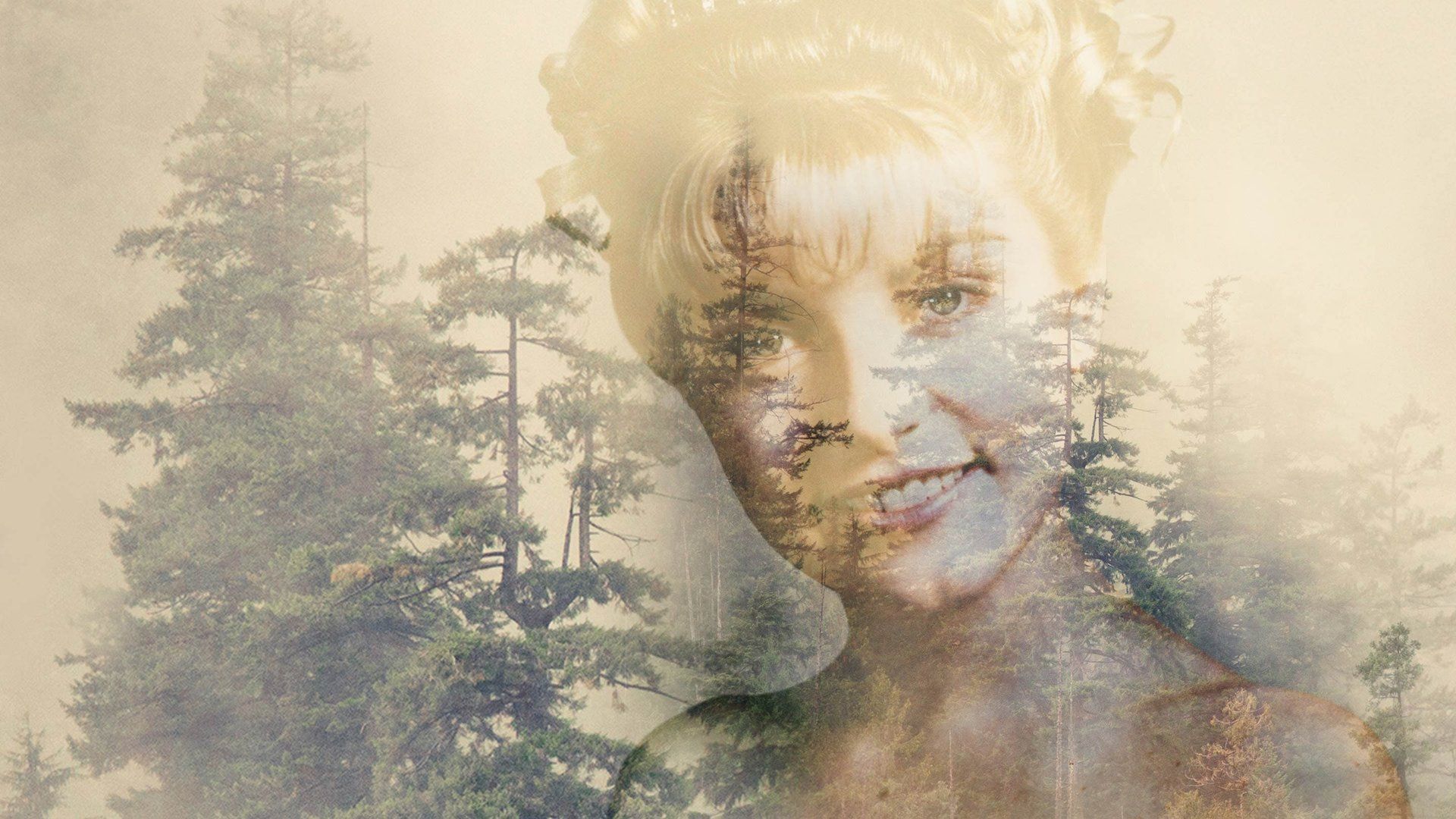 1920x1080 Twin Peaks (1990) Stills, Visual Inspiration, Visual References & Mood
