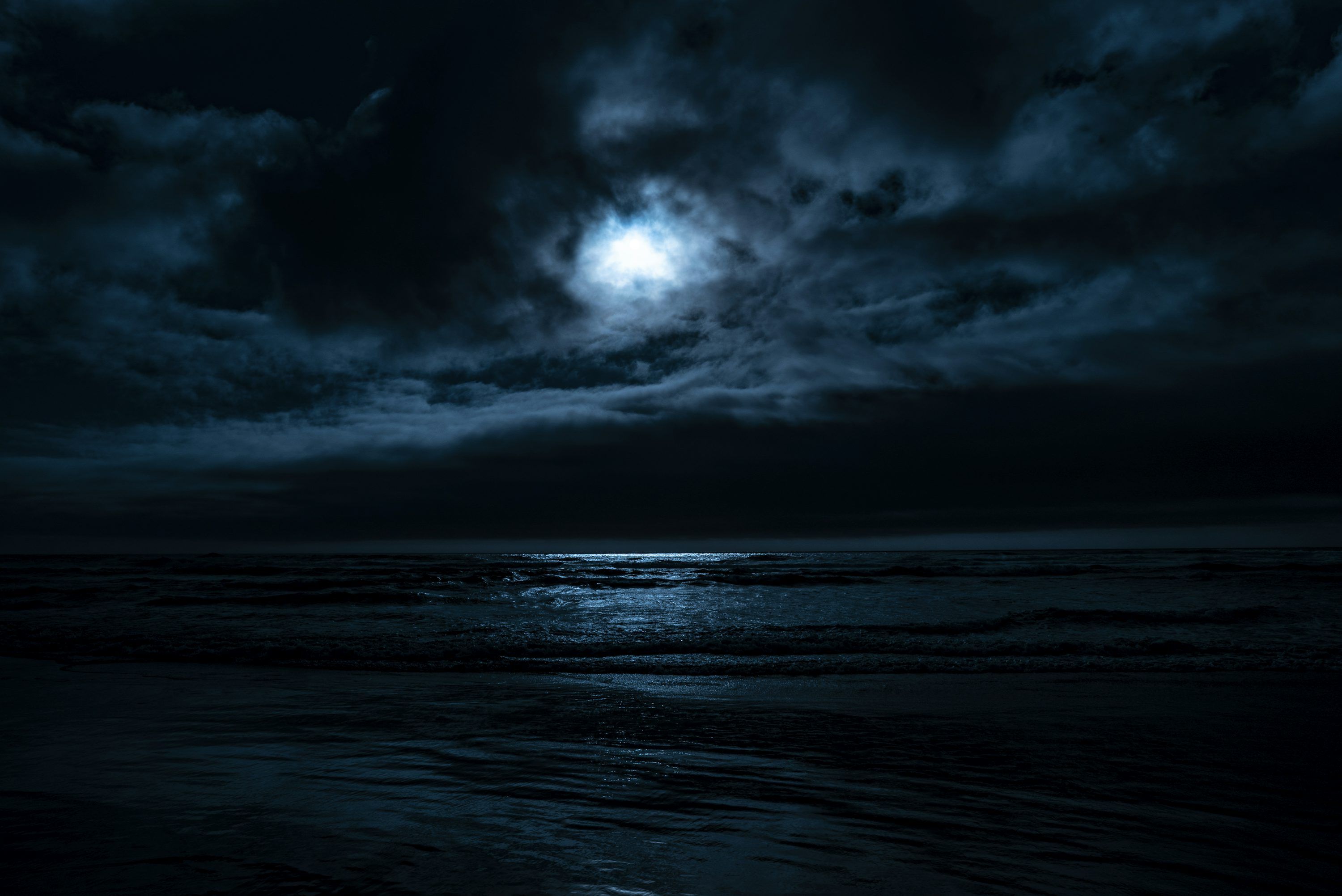 3000x2004 Moonlit Night Picture. Download Free Image