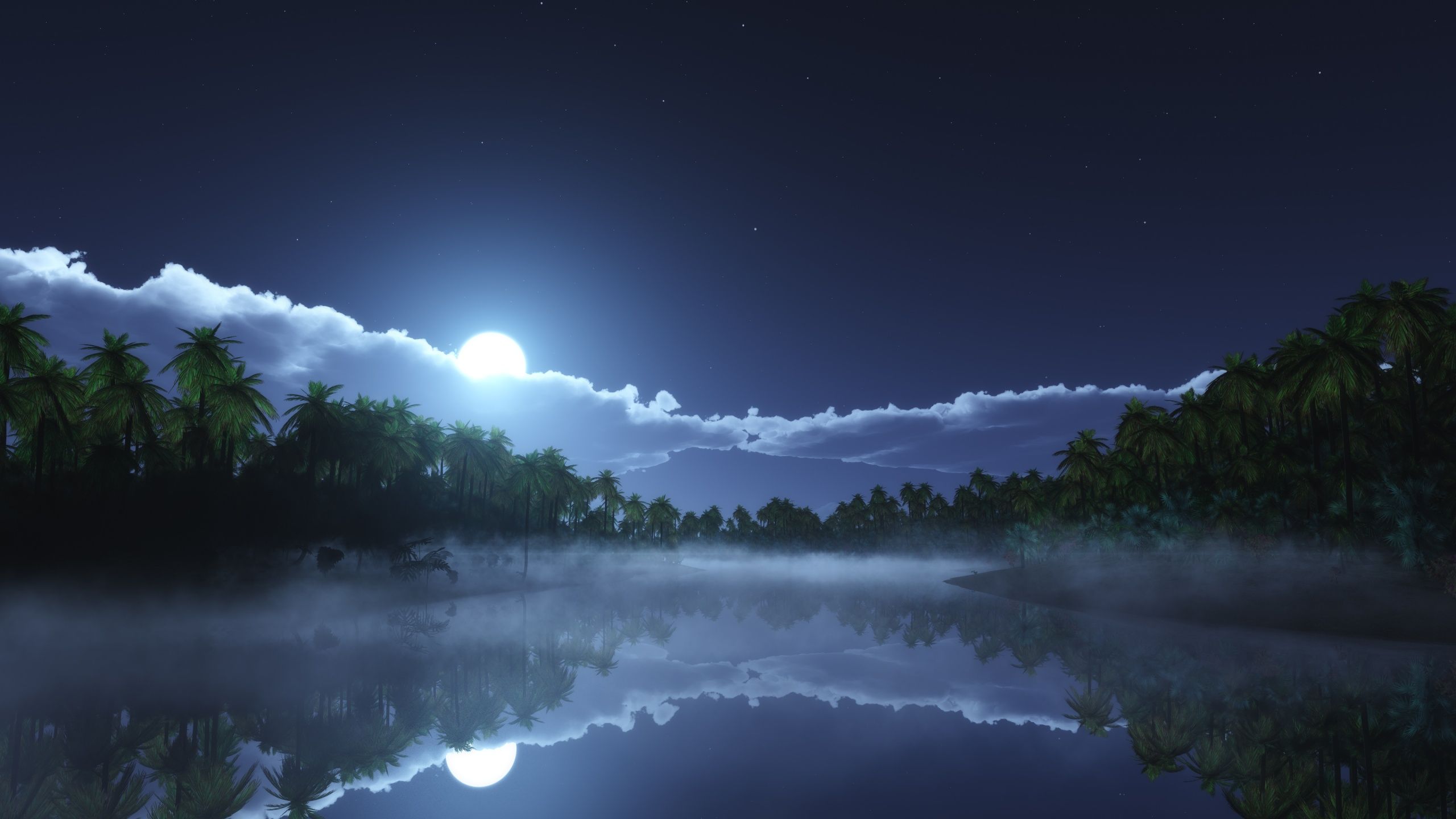 2560x1440 Moonlight Wallpaper 4K, Night time, Palm trees