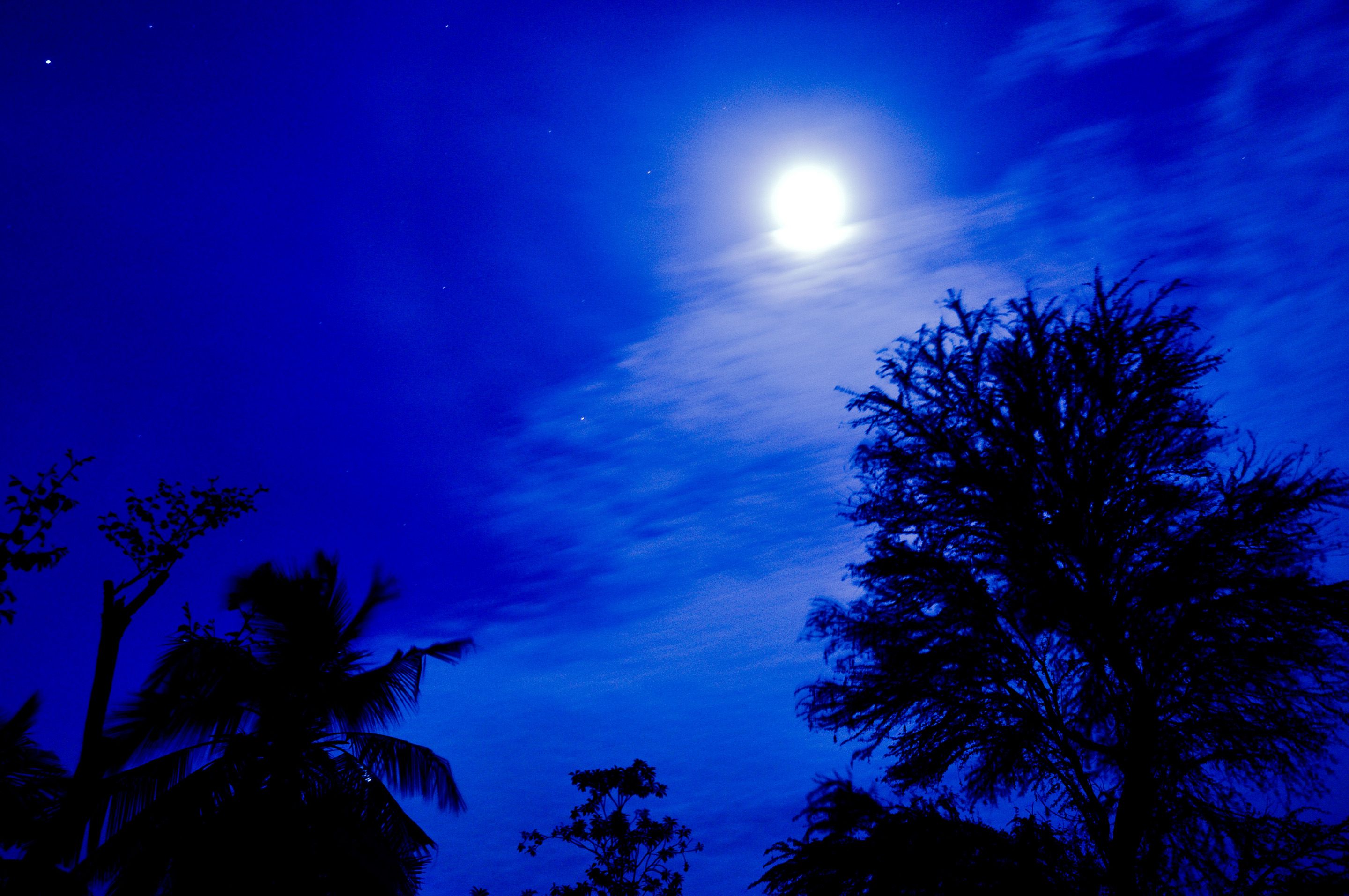 2880x1913 The moonlit