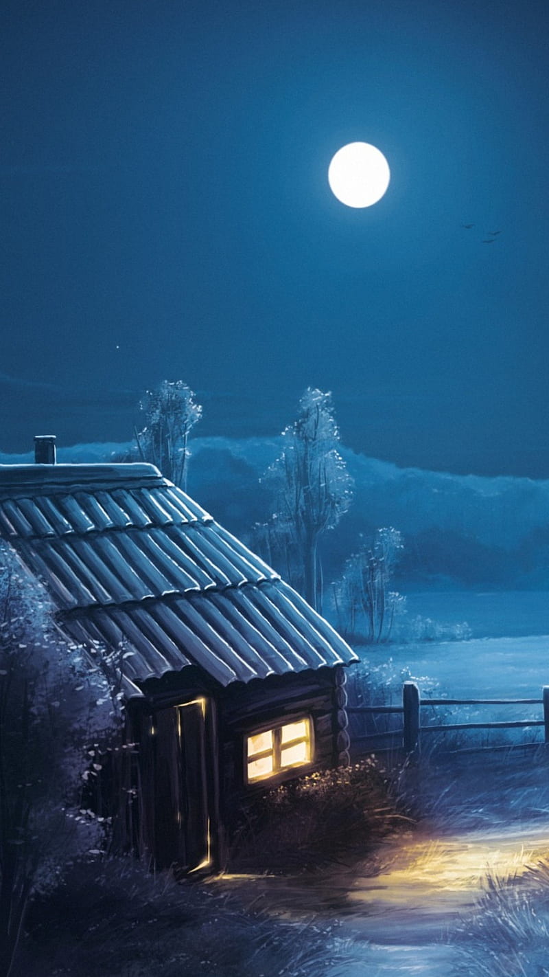 800x1422 Moonlight, night, moon, house, tree, HD phone wallpaper