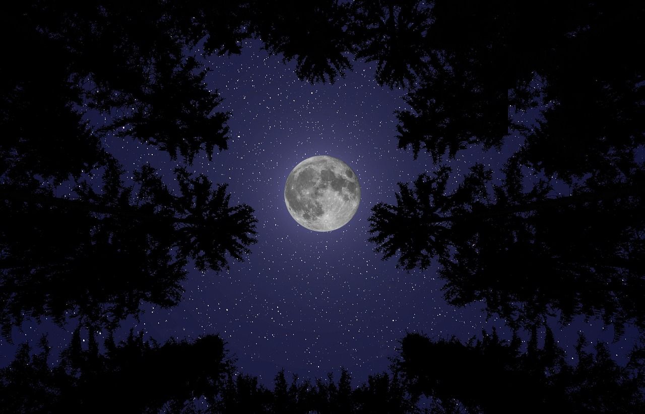 1280x822 Moon Night Nature