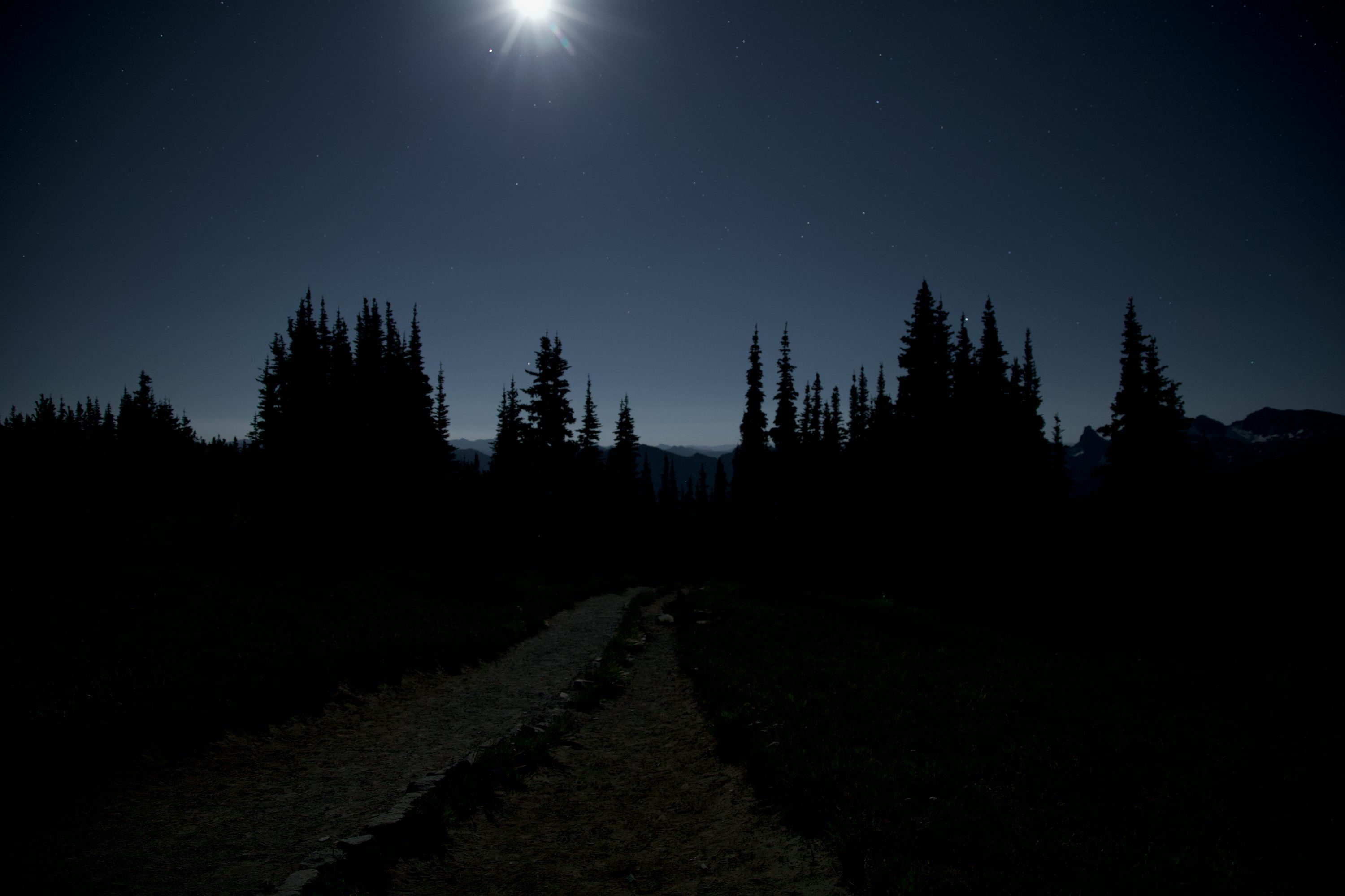 3000x2000 Moonlit path through dark pine forest at night photo
