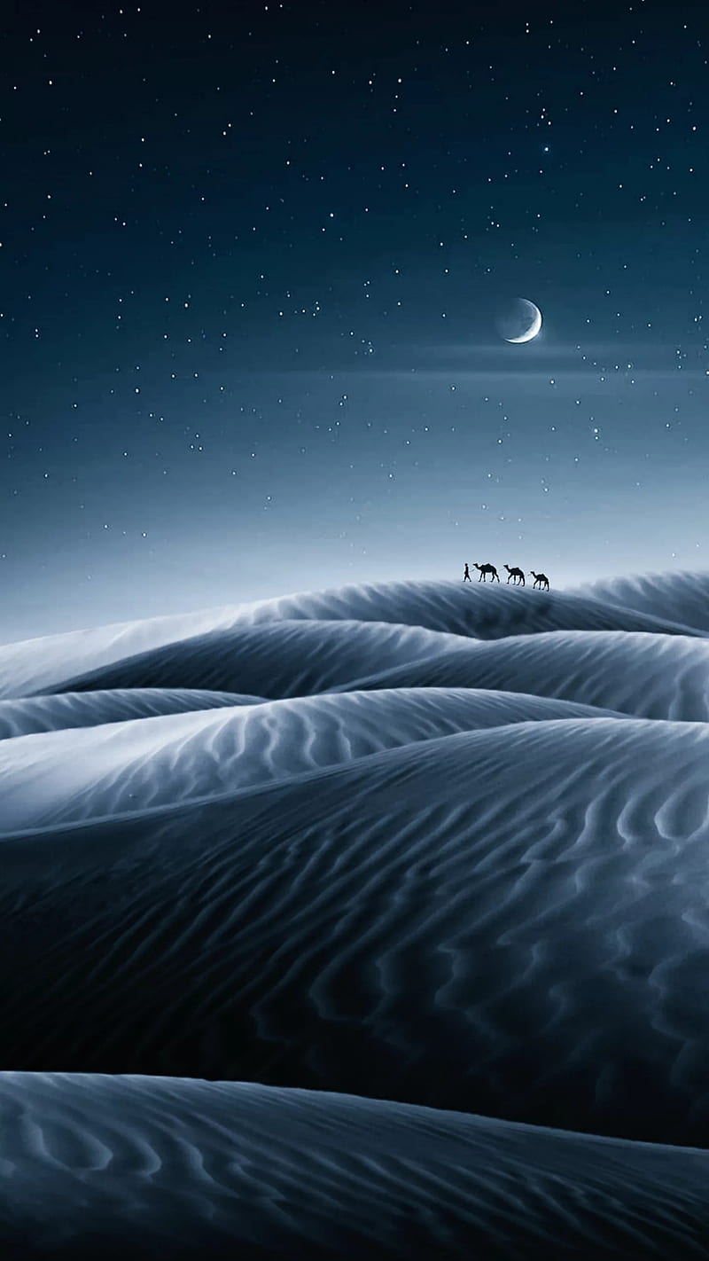 800x1422 Journey, animal, blue, camel, camels, desert, moon, moonlight, night, stars, HD phone wallpaper