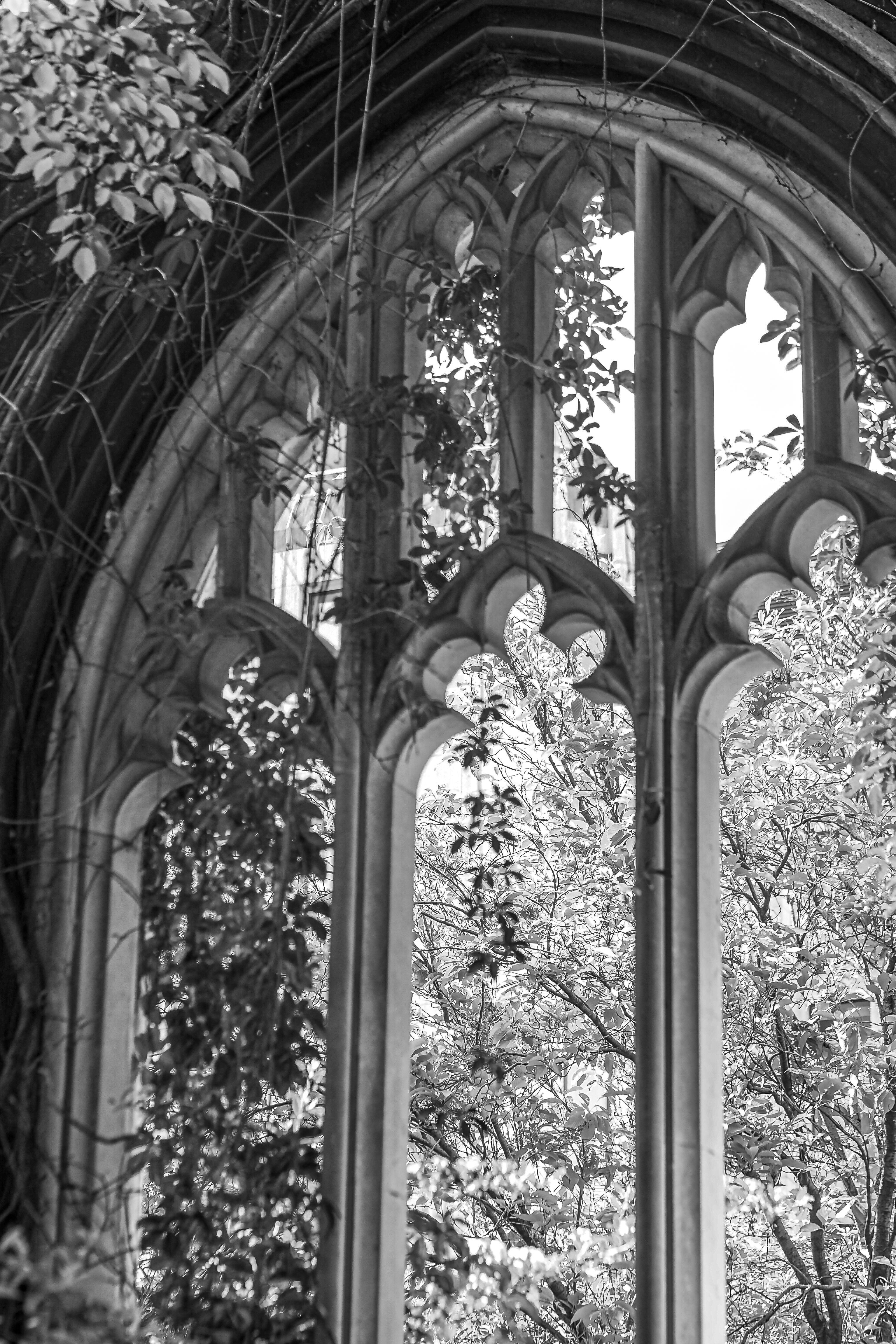 3072x4608 A window in a gothic church with leaves on the ground · Free
