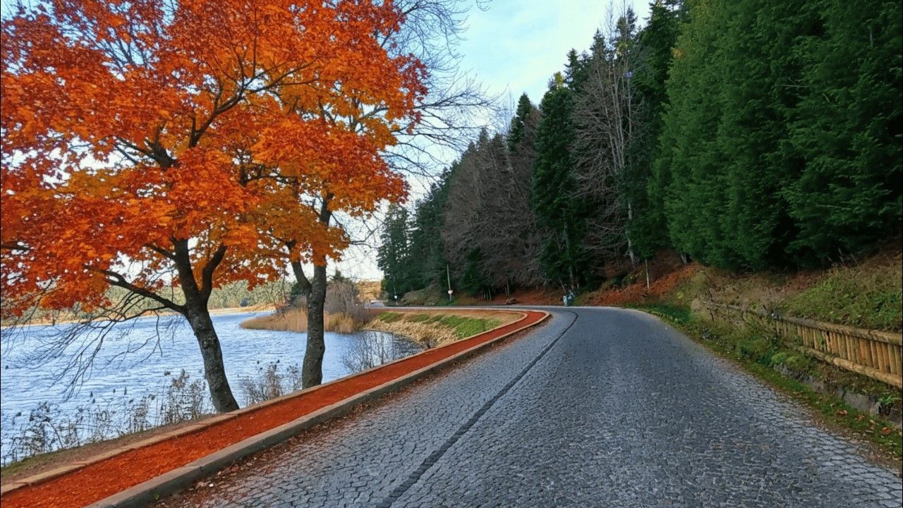 1280x720 The MOST Scenic Mountain Road to Lake Abant, Bolu, Turkey Relaxing Drive