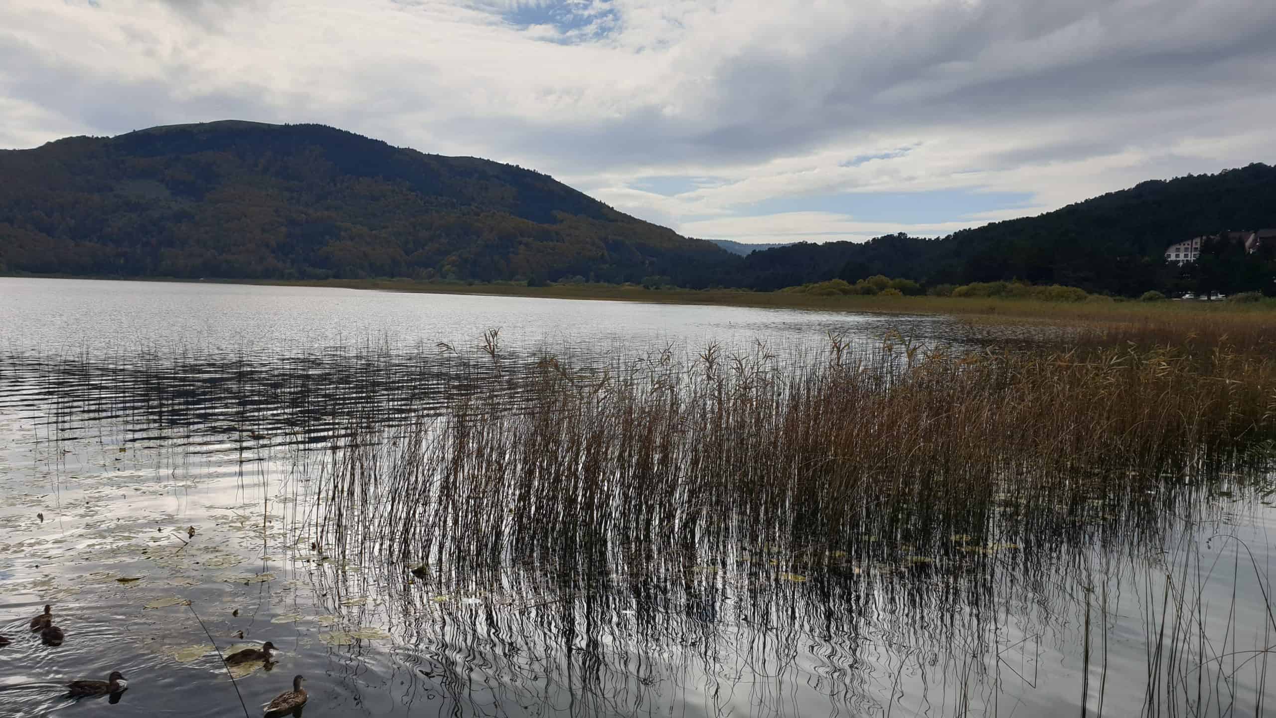 2560x1440 Bolu Abant Lake