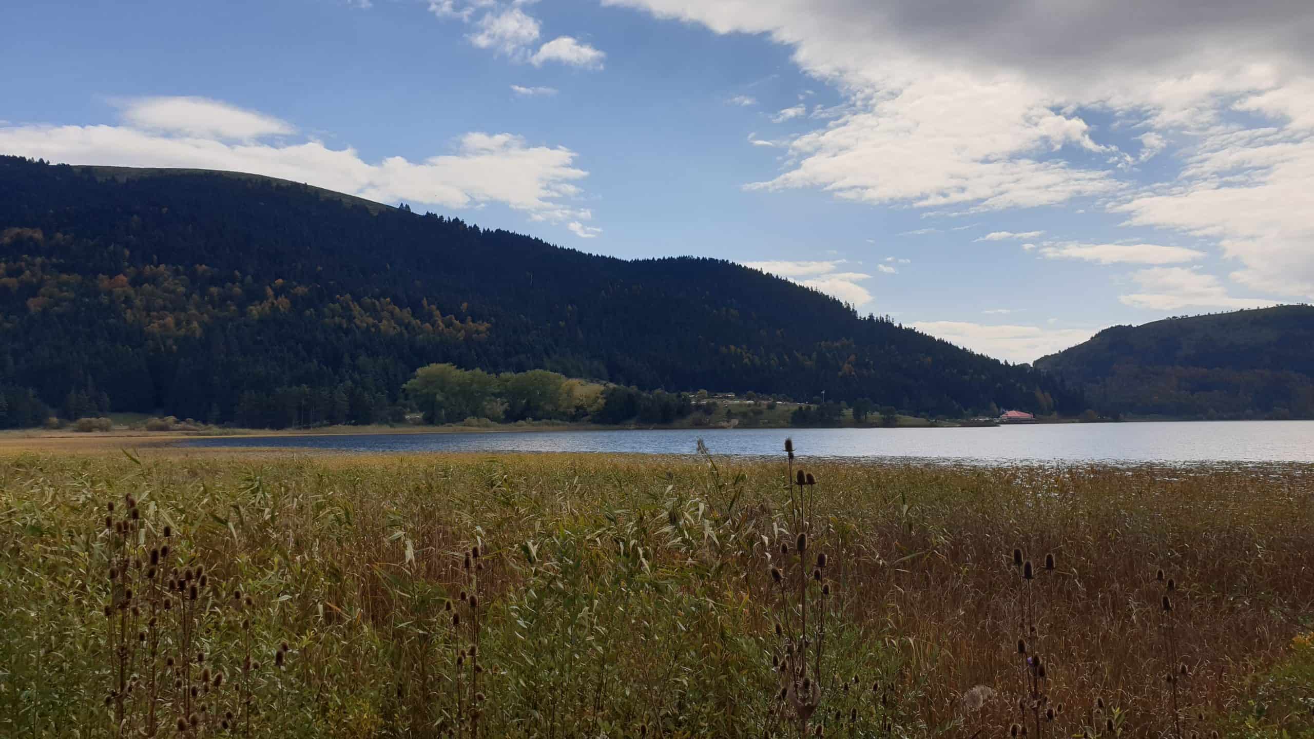 2560x1440 Bolu Abant Lake