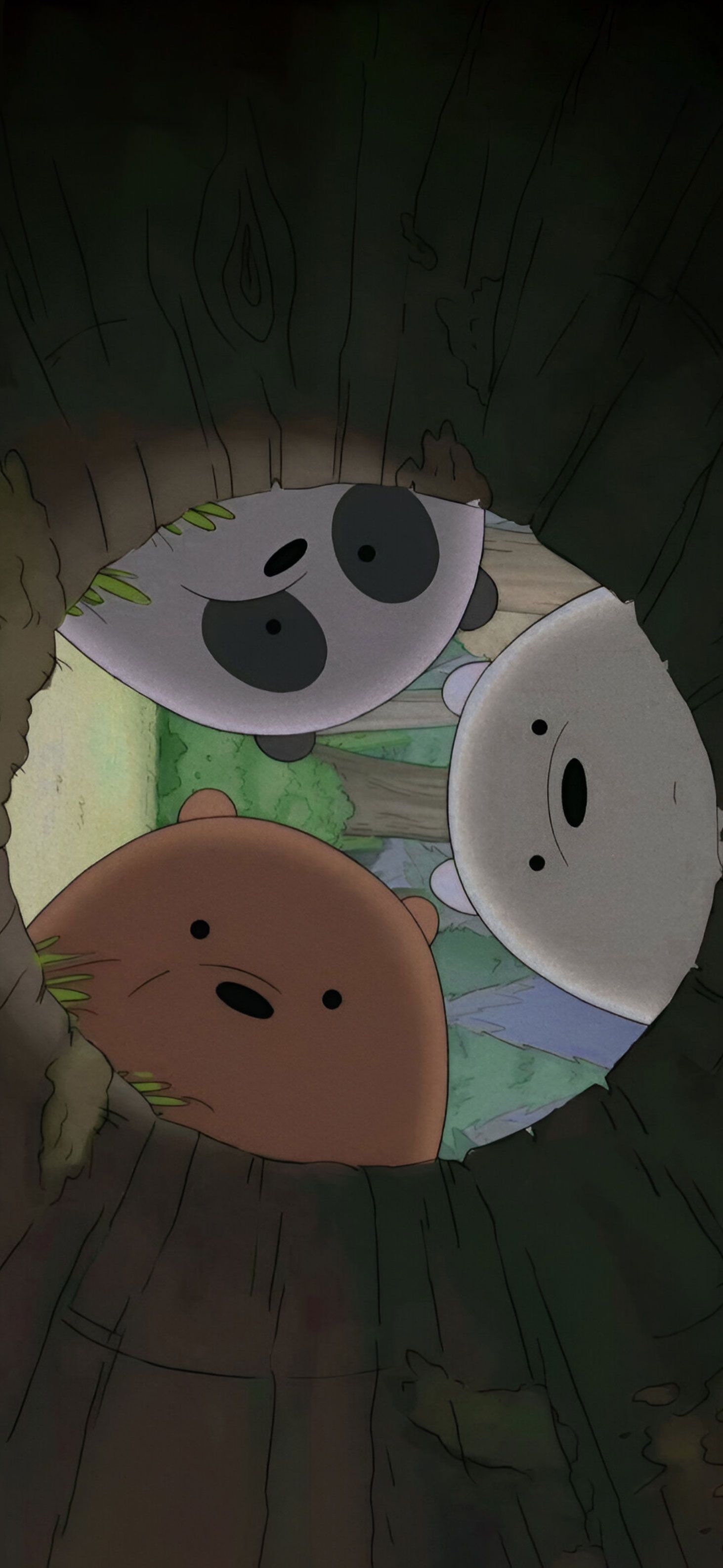 1463x3171 We Bare Bears Curious Wallpaper Cartoon Wallpaper HD
