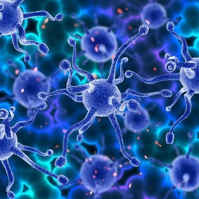 400x400 Antibody Discovery