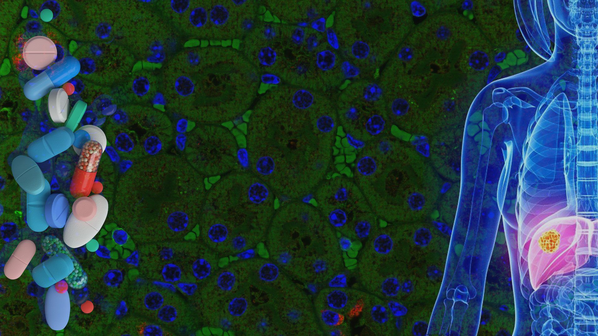 1920x1080 DRUG DISCOVERY & PRECISION MEDICINE Archives