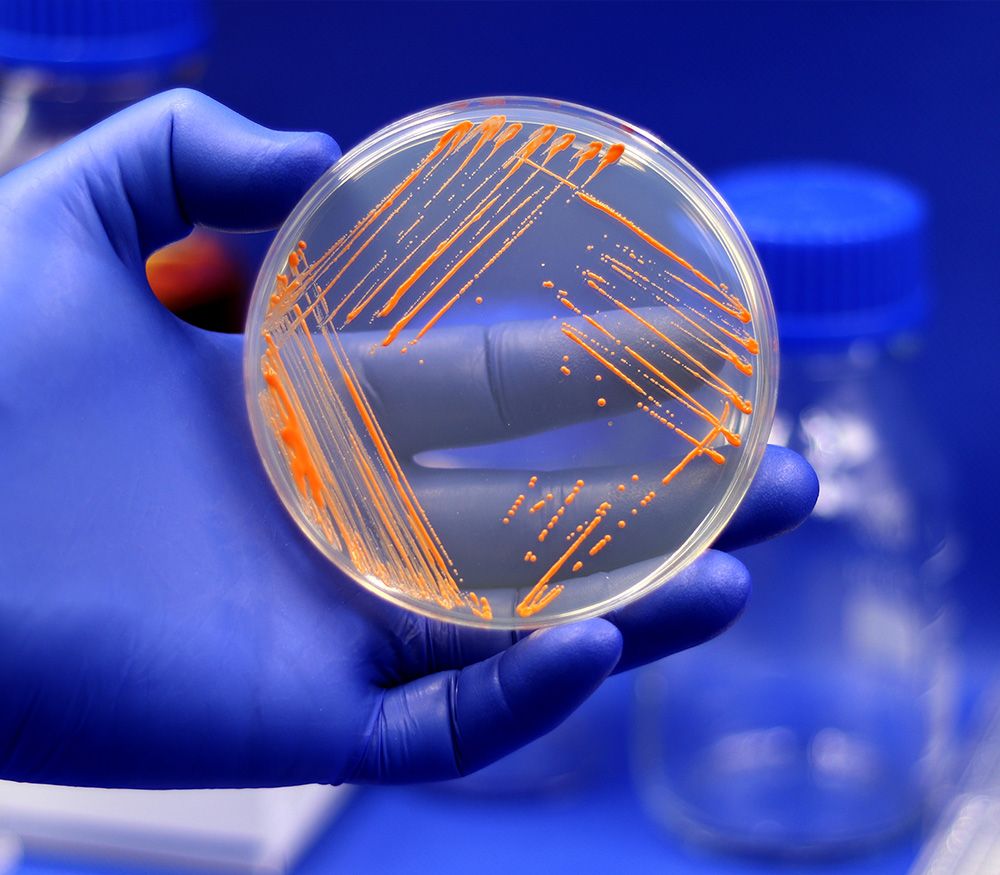 1000x875 13m Translational Research Facility in Infectious Disease to Bolster North West's Status as International Powerhouse in Life Sciences Discovery Catapult