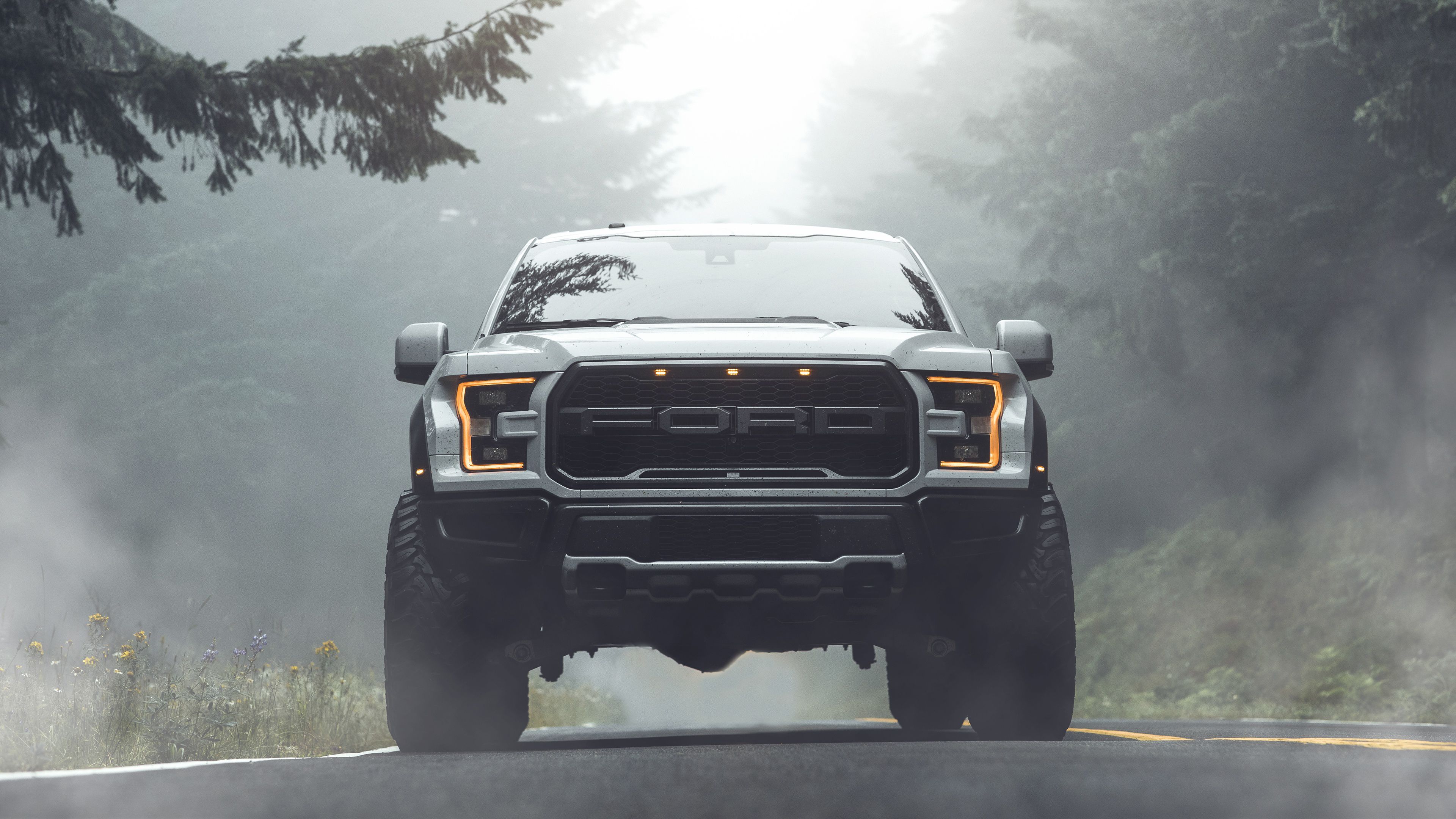 3840x2160 Ford F 150 Raptor Pickup Vehicle With Fog And Trees Background 4K HD Ford Raptor Wallpaper
