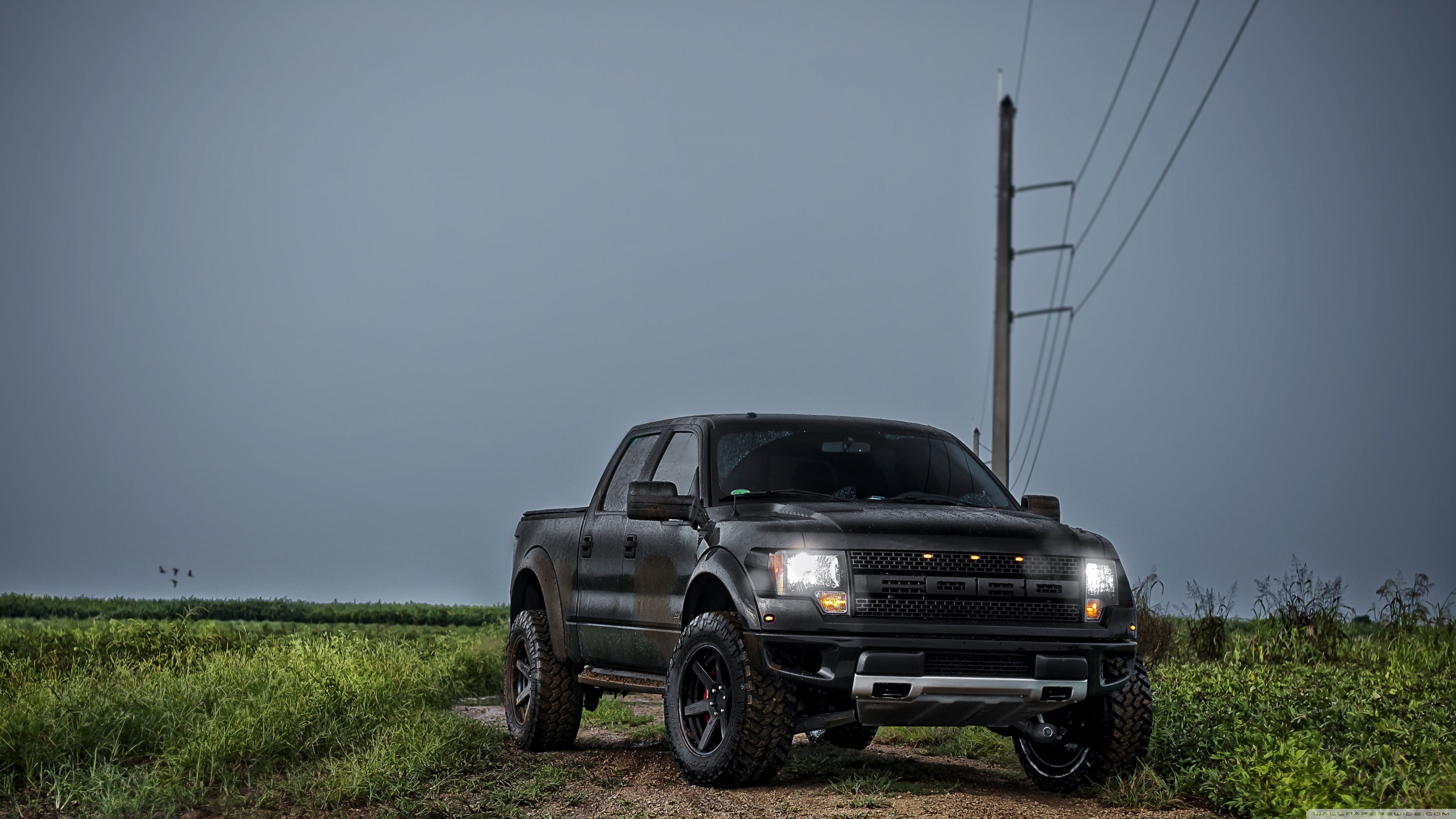 3840x2160 Ford F 150 SVT Raptor Front 4K UHD Wallpaper for UltraHD Desktop and TV : Widescreen and UltraWide Display : Dual Monitor : Smartphone and Tablet Devices