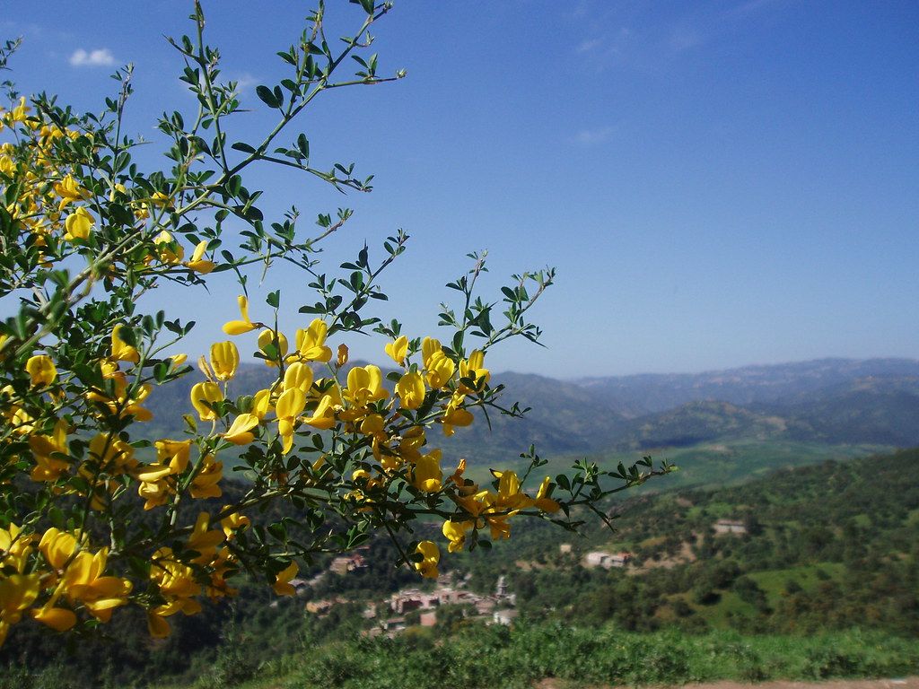 1024x768 Kabyl Nature20. Photo De Kabylie