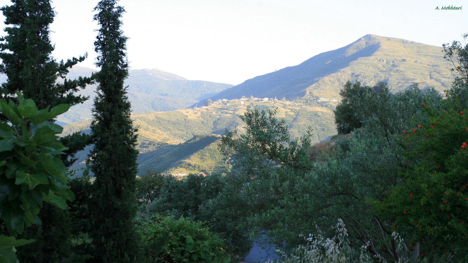 1600x900 IMG_1271. La Kabylieérie