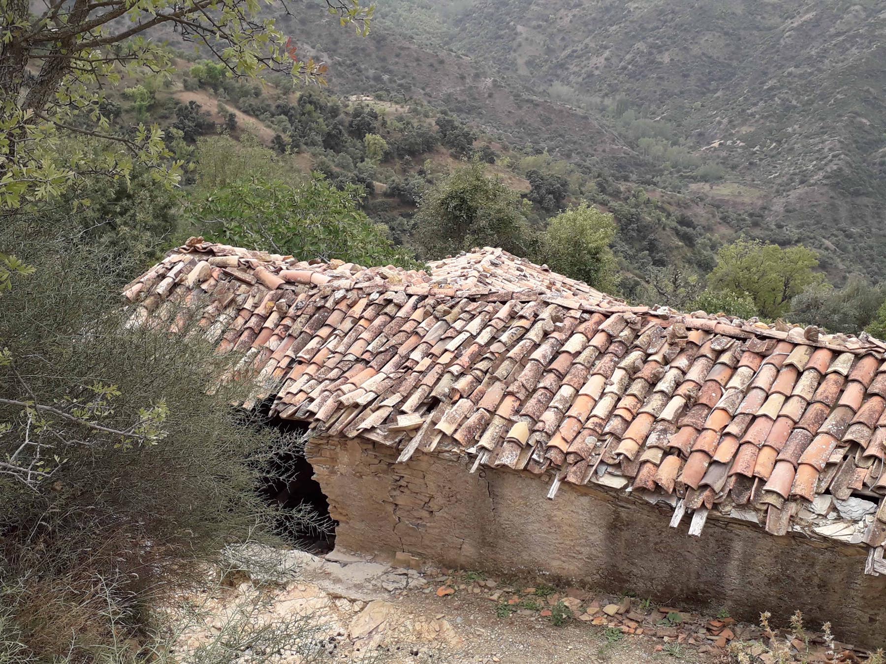 1800x1350 La Maison de Kabylie منزل منطقة القبائل