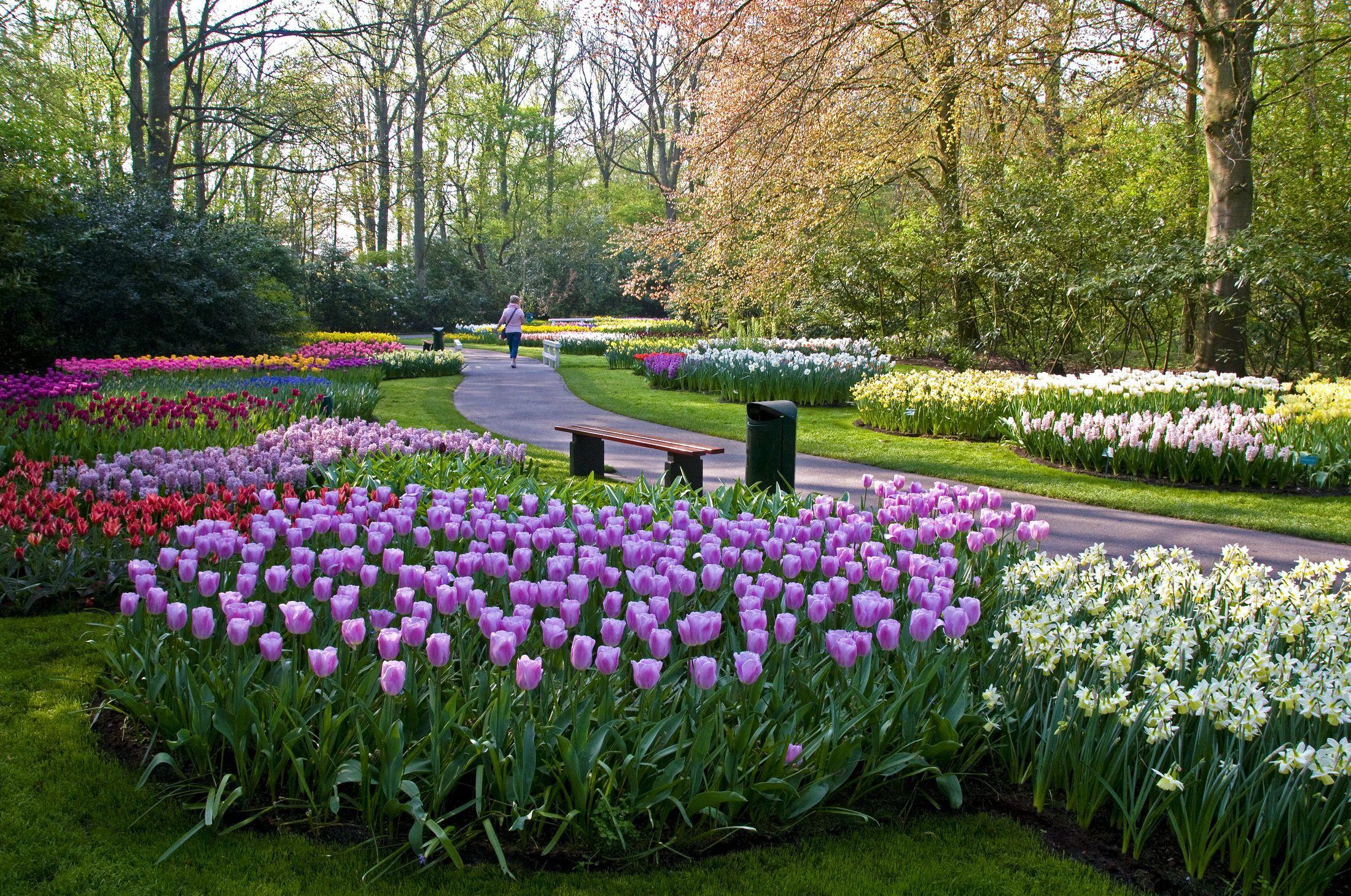 2200x1460 Keukenhof Lisse Netherlands HD Wallpaper. Background Image