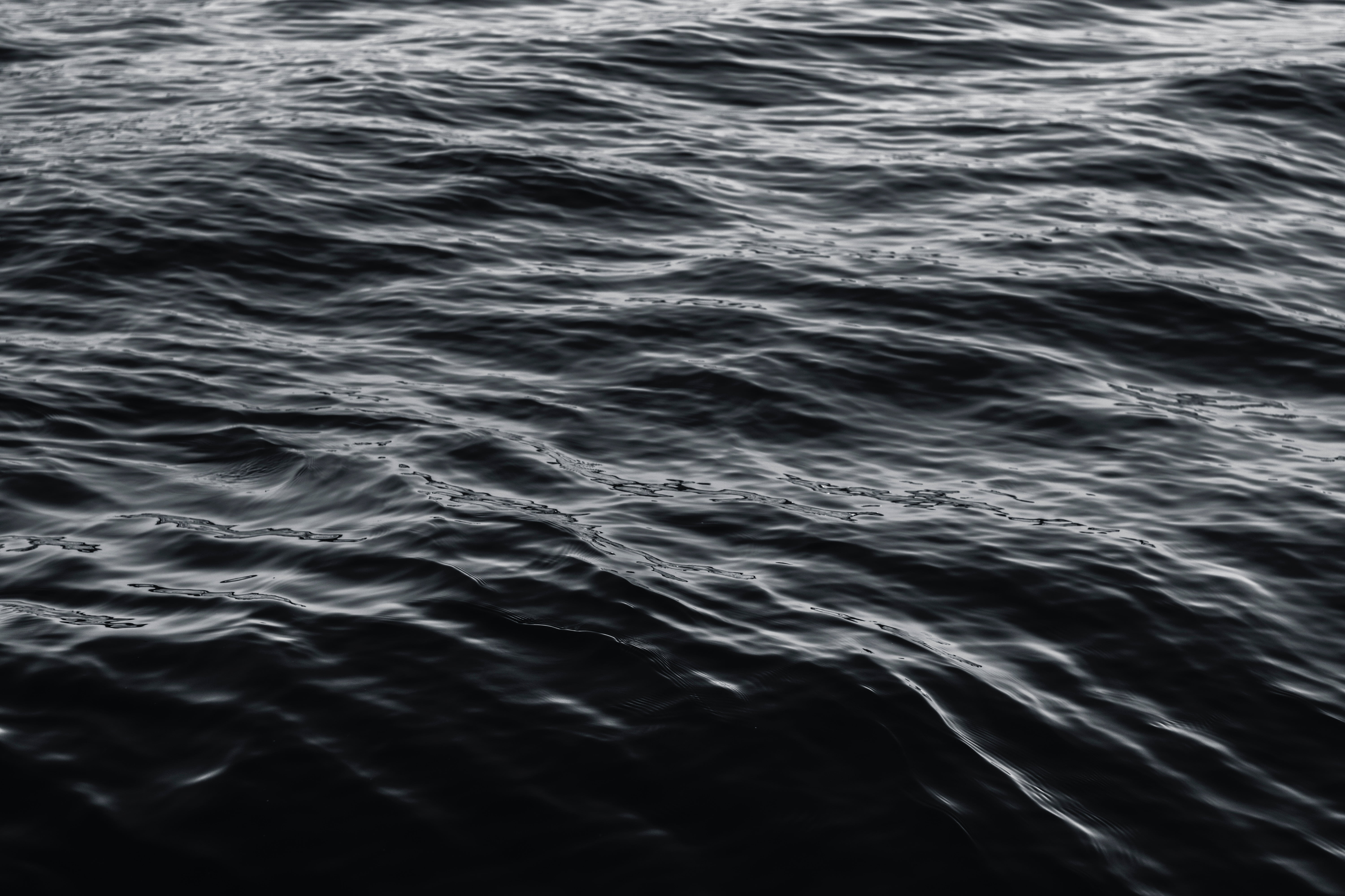 6000x4000 Black water, Water, Surface, Bw HD wallpaper