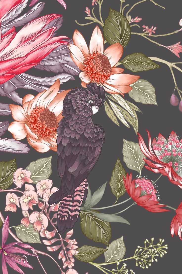 736x1105 Olive and the Cowboy wallpaper
