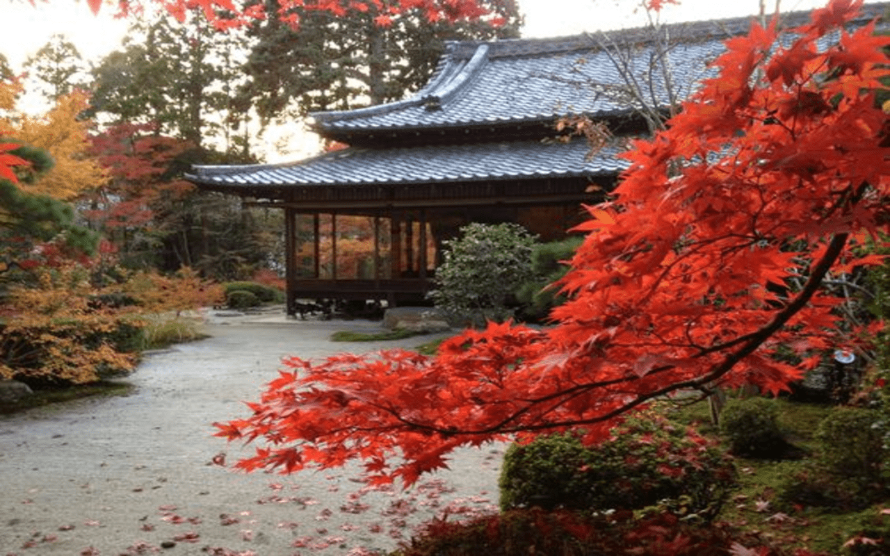 1280x800 japanese autumn wallpaper Web Store