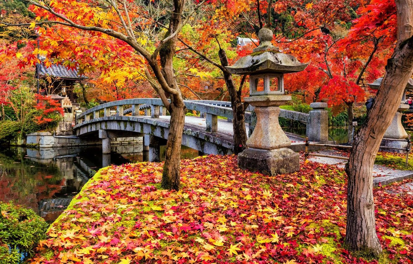 1332x850 Japan Fall Wallpaper