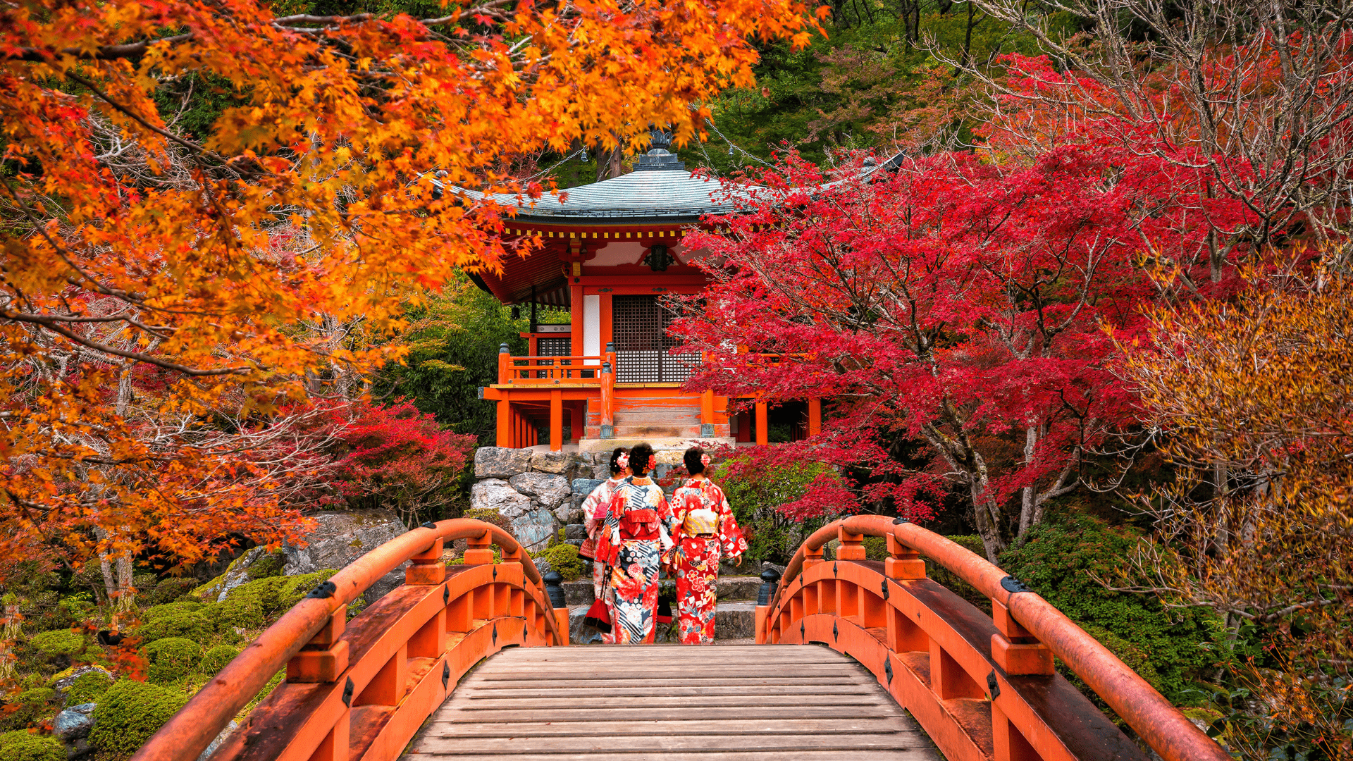1920x1080 A Guide to Japan's Best Autumn Leaves Viewing Spots