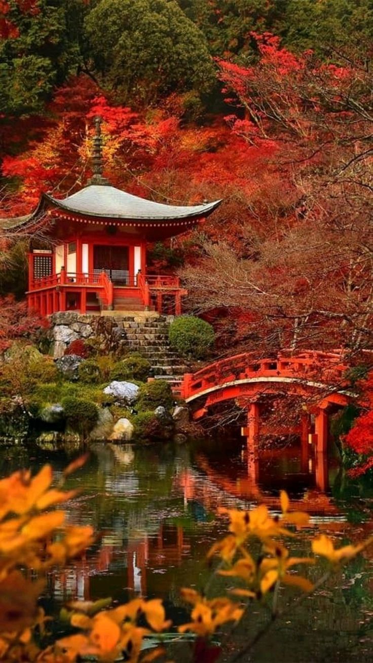736x1308 Magic Of Japan
