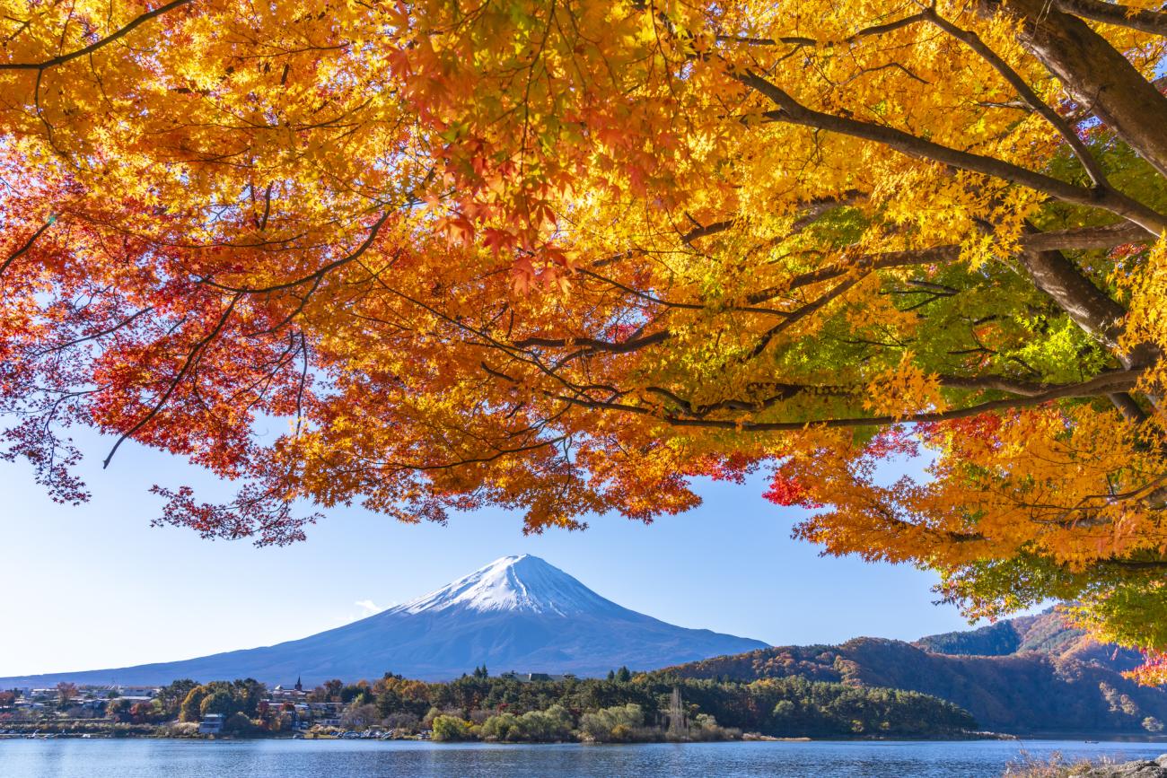1300x867 Amazing Fall Foliage Spots in Japan