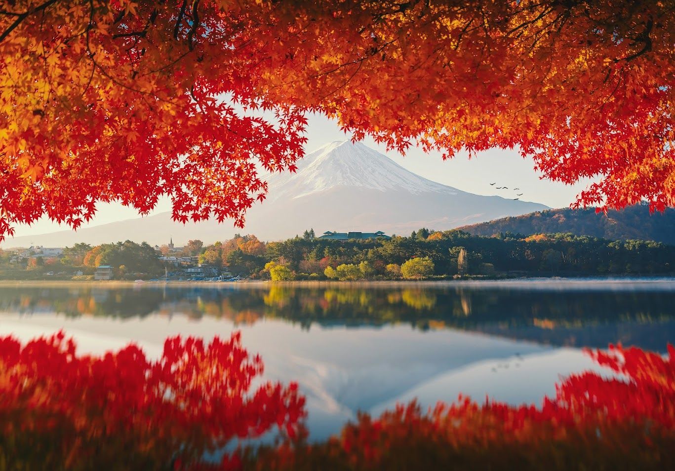 1367x955 Autumn Travel in Japan: Where to Go, What to Eat, and What to Do?