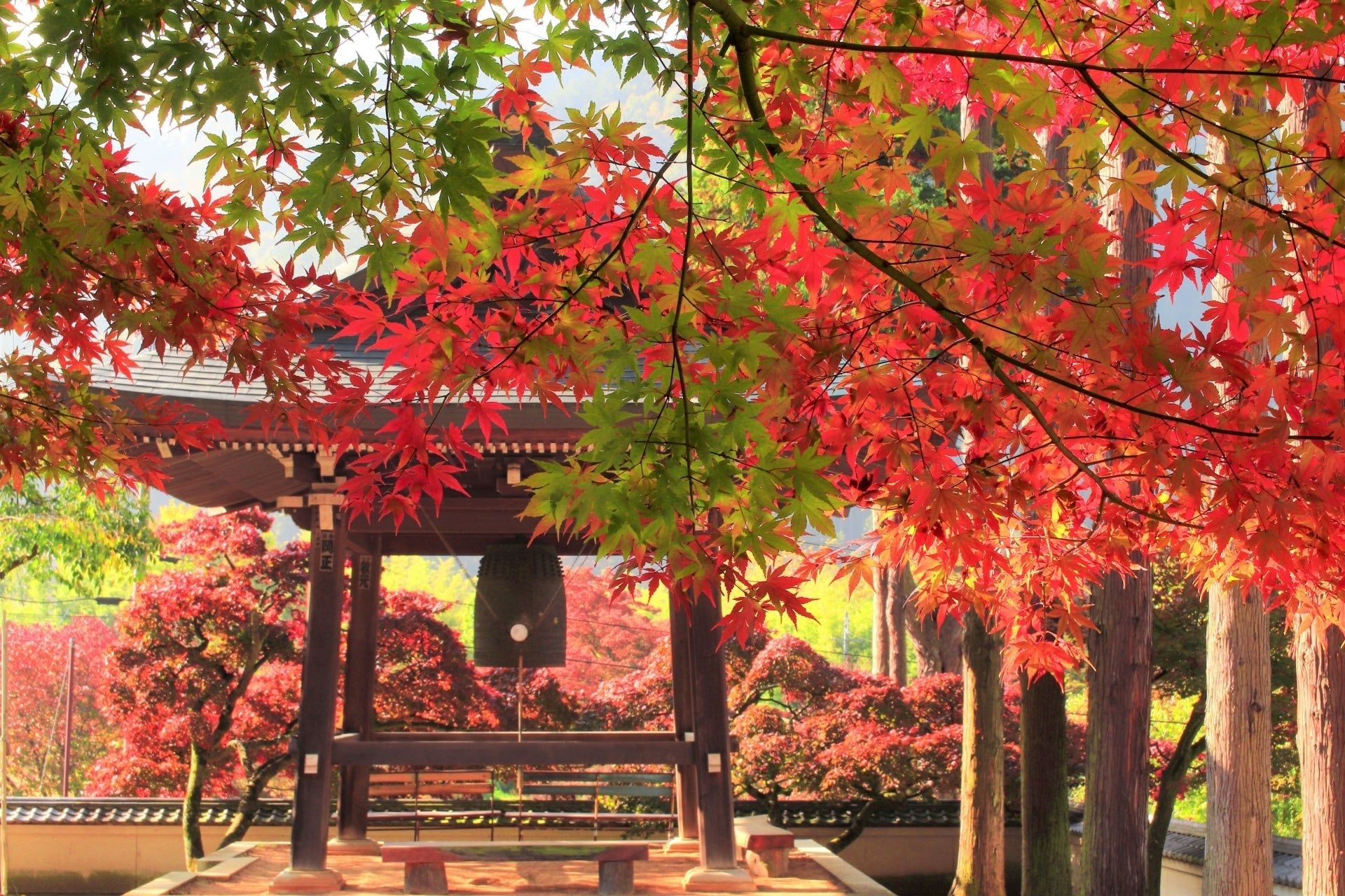 1920x1280 Four Seasons in Japan：Autumn & Winter