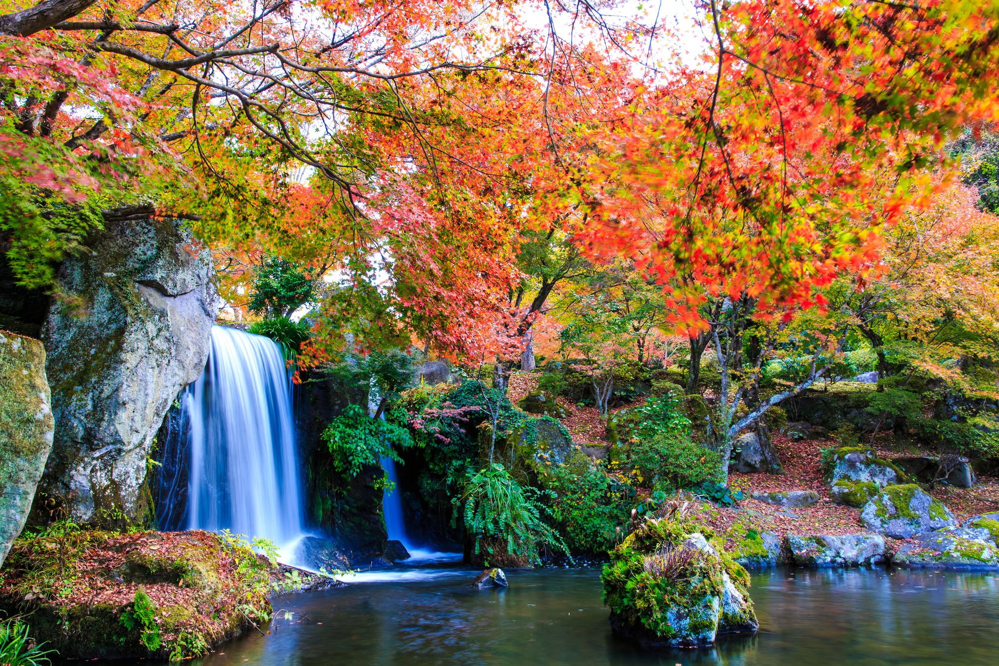 2000x1333 Oita's Autumn Foliage: A Seasonal Guide｜Stories｜Visit Oita Official Tourism Website of Oita, Kyushu, Japan
