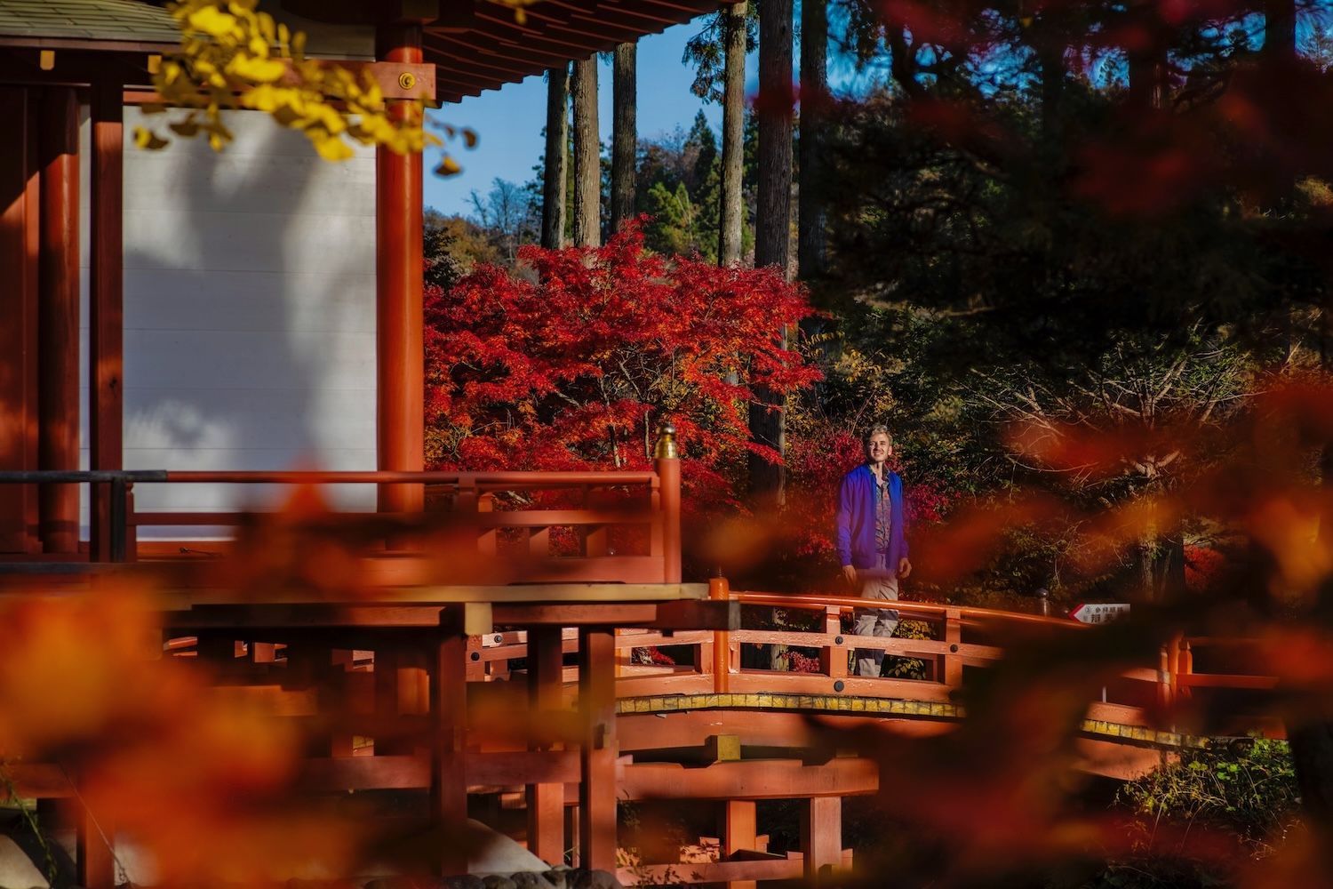 1500x1000 More Picture to Inspire Your Japan Autumn Travel