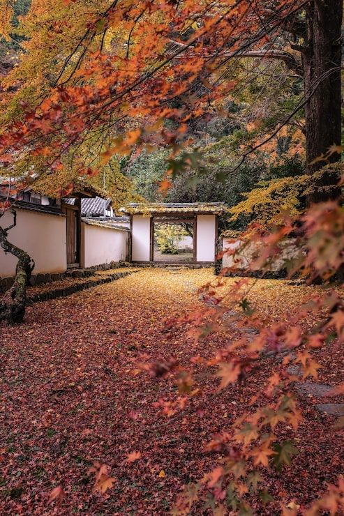 493x740 Autumn beauty japanese gardens Image