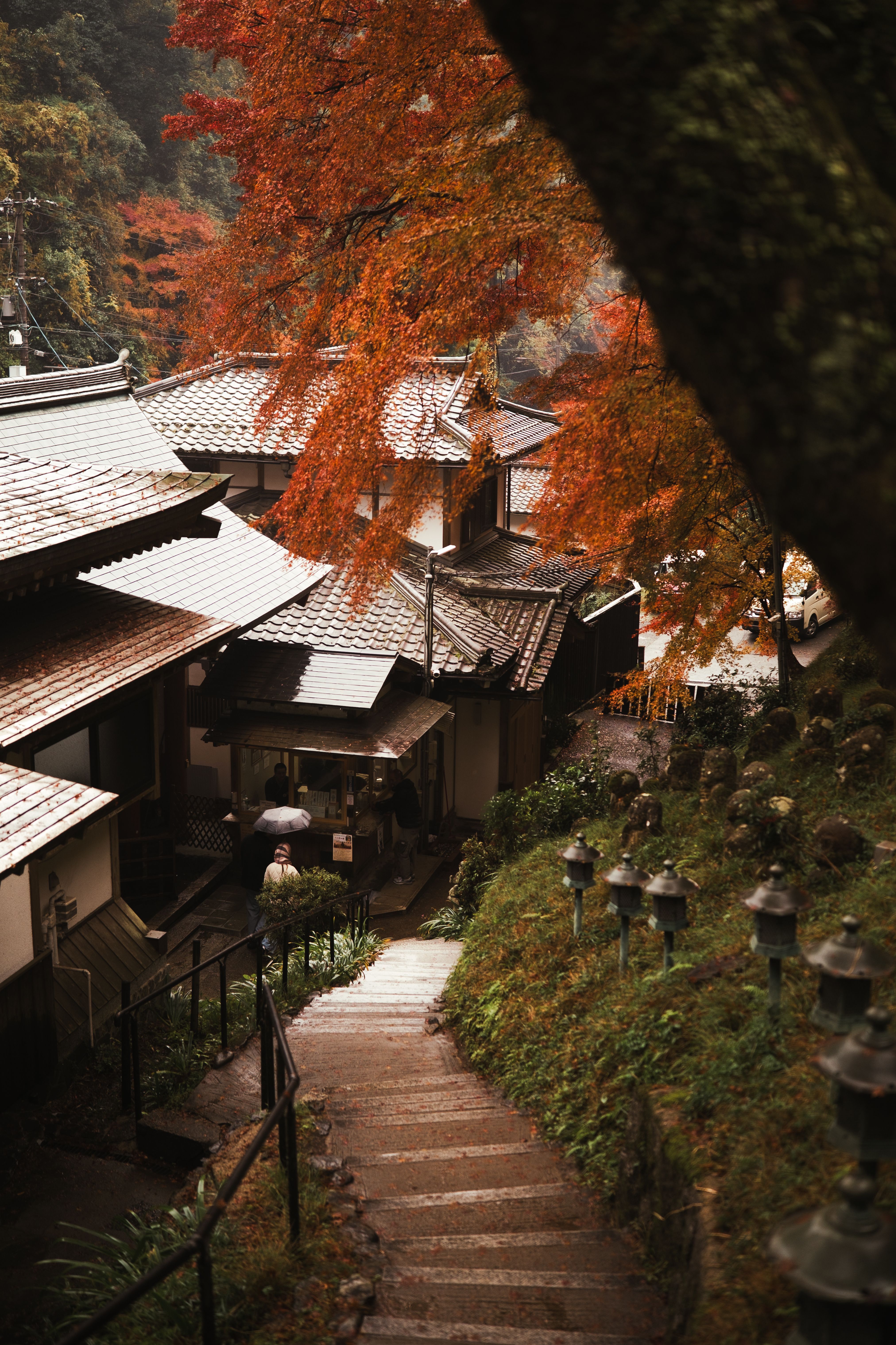 4047x6070 Autumn In Japan Photo, Download The BEST Free Autumn In Japan & HD Image