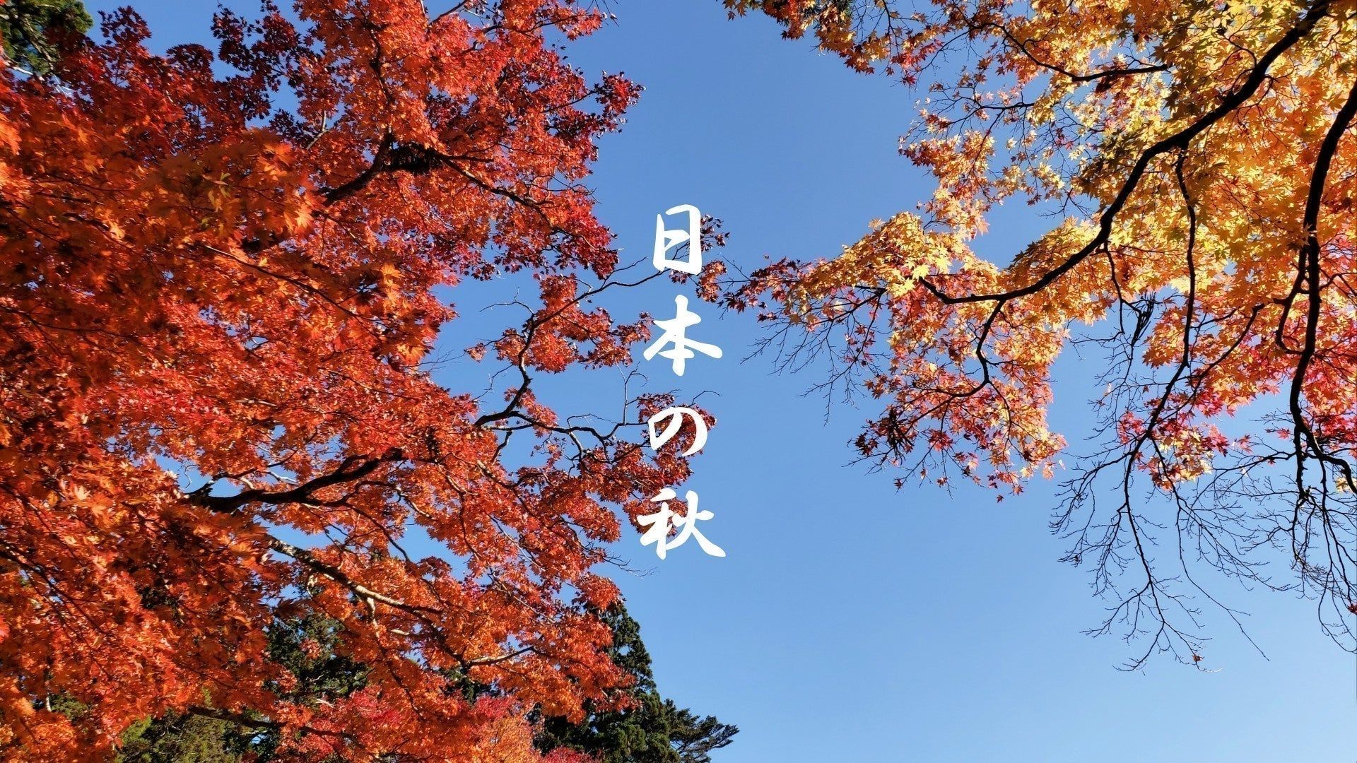 1920x1080 Japanese Autumn Guide: Nature, Food & Pottery