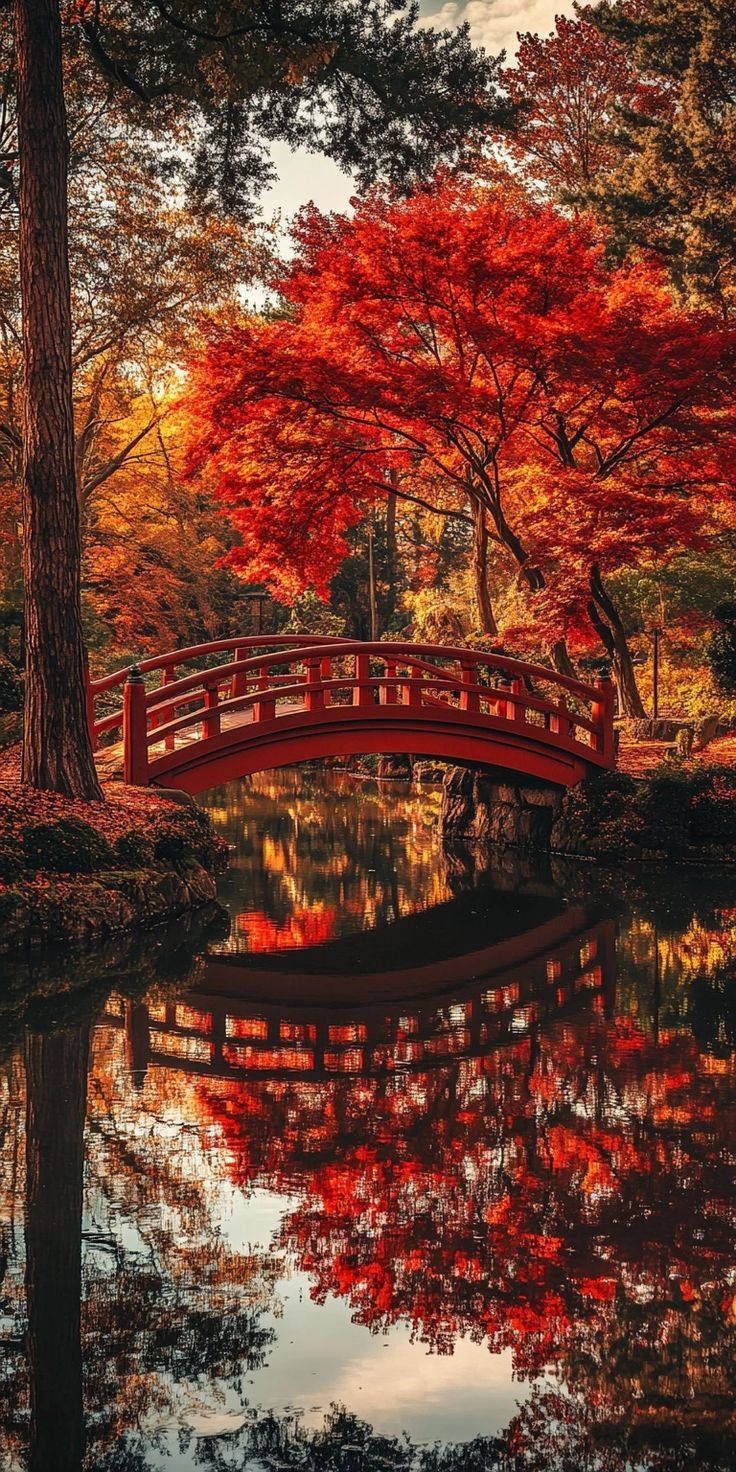 736x1472 Japan autumn wallpaper iphone. Japanese autumn, Japan in the fall, Beautiful scenery beautiful scenery