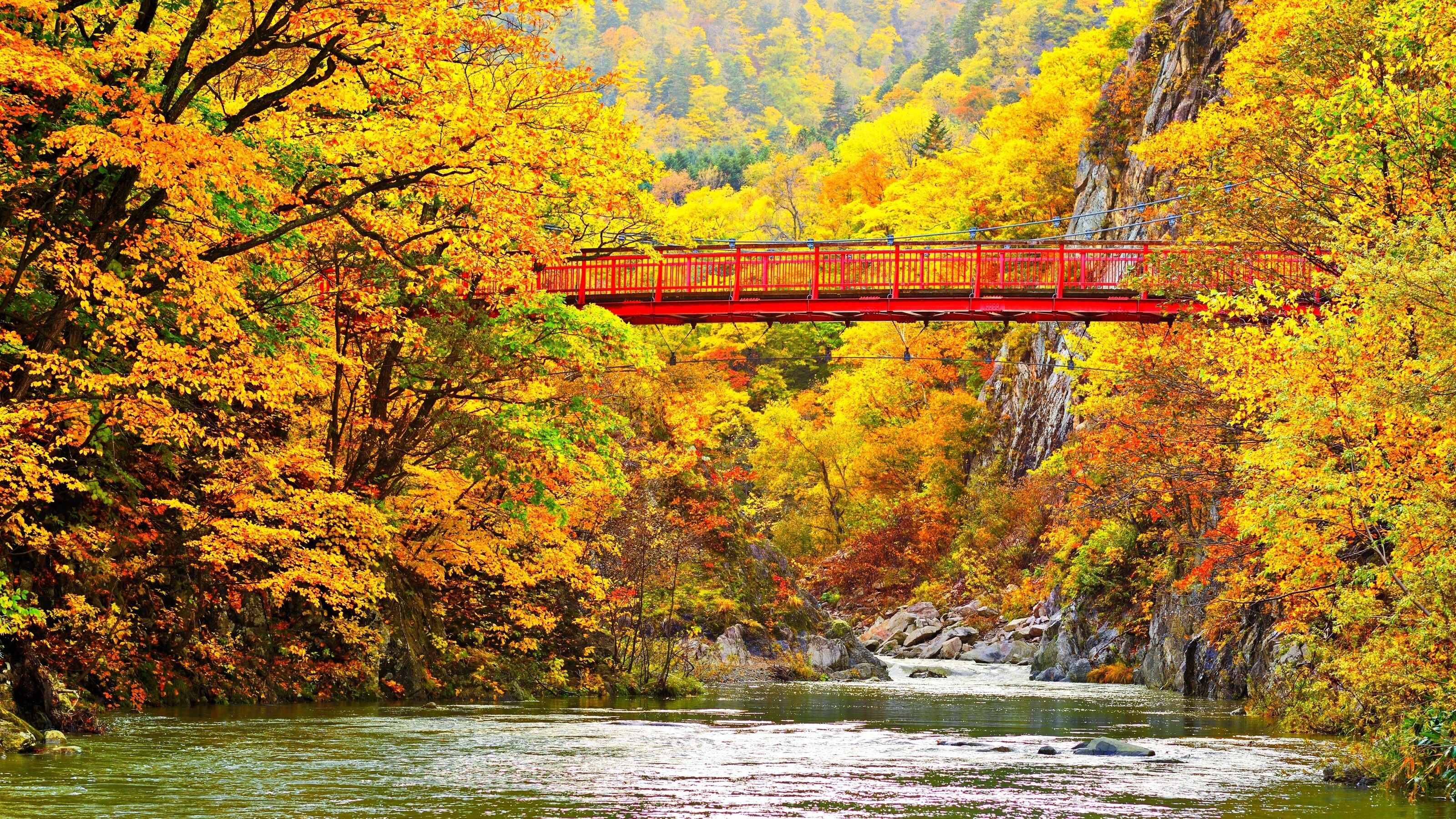 3200x1800 Autumn Stream In Jozankei Japan Mural Wallpaper Your Way