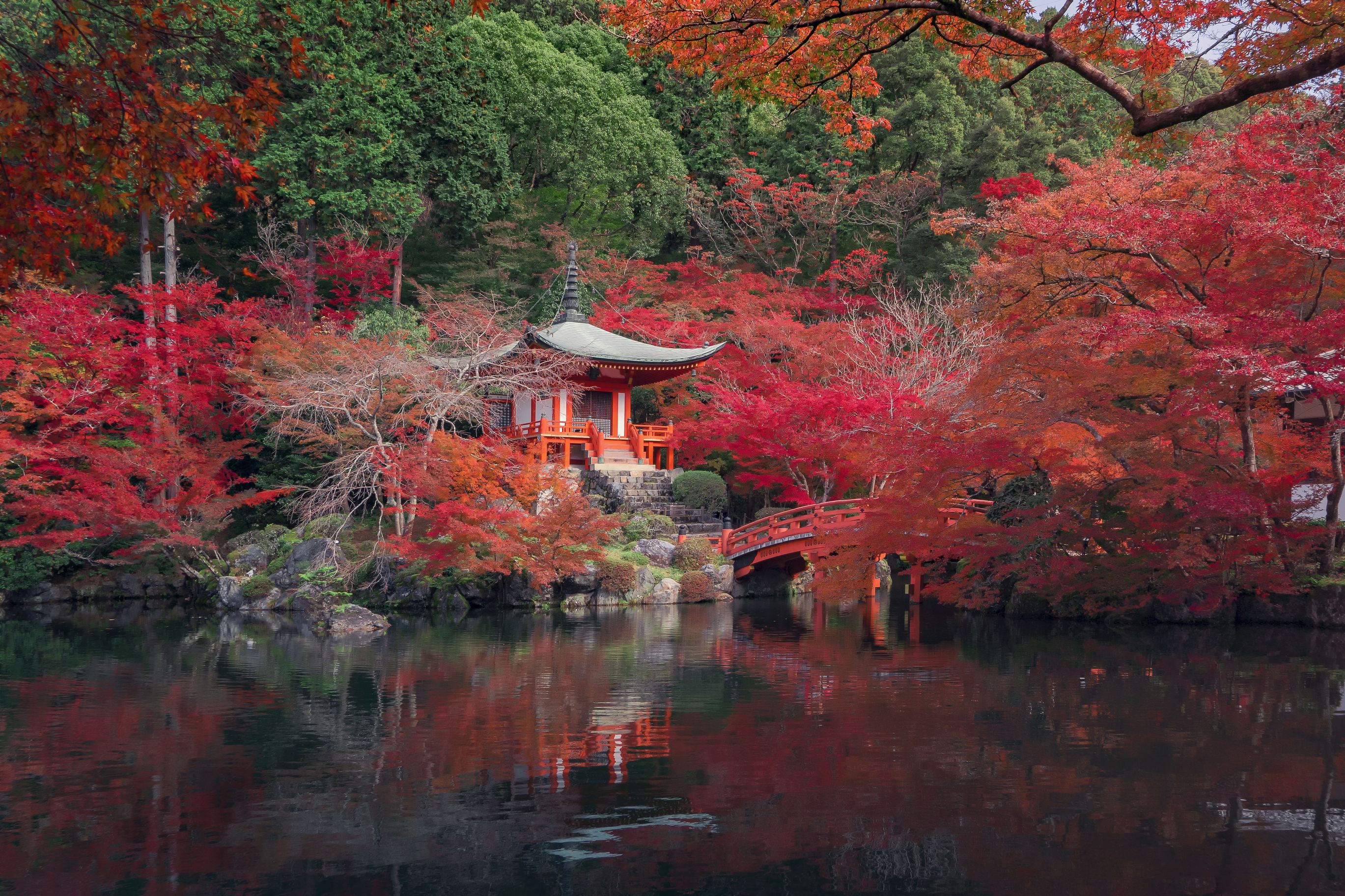 2738x1825 Best Places to See Fall Foliage in Japan. Moon Travel Guides