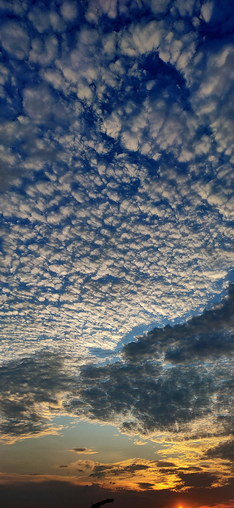 800x1739 Rays in the clouds, beautiful weather, cloudy, nature, sun, sunrays, sunrise, HD phone wallpaper