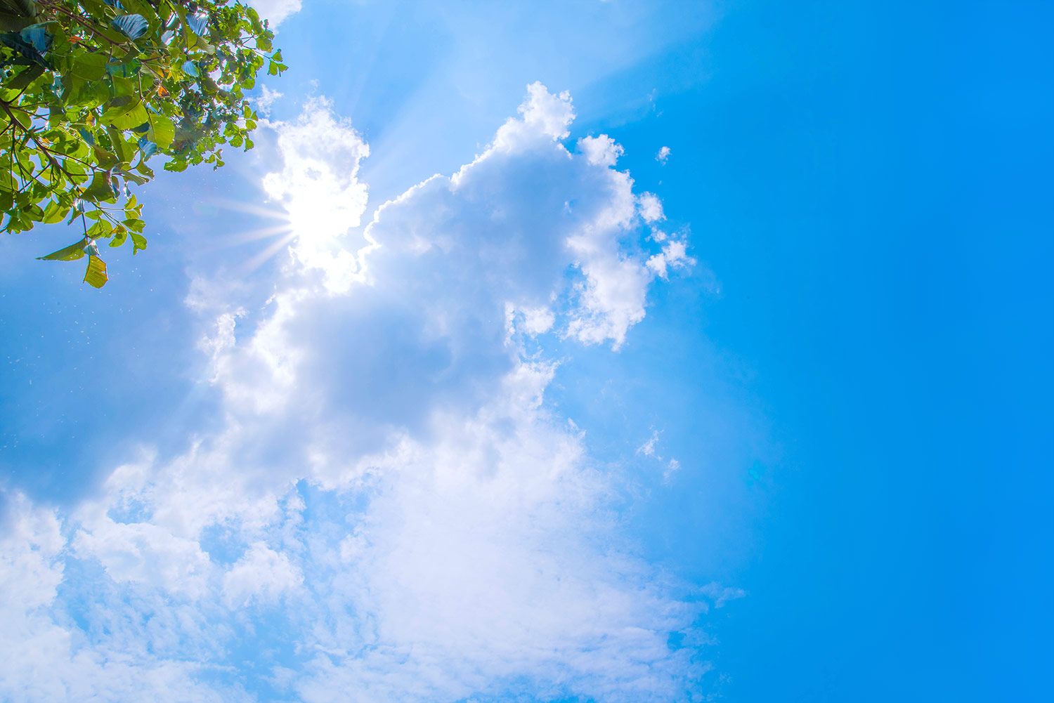 1500x1001 Good Weather the Heart