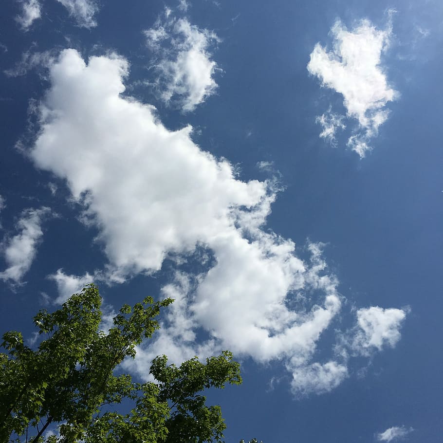 910x910 Good weather 1080P, 2K, 4K, 5K HD wallpaper free download, sort