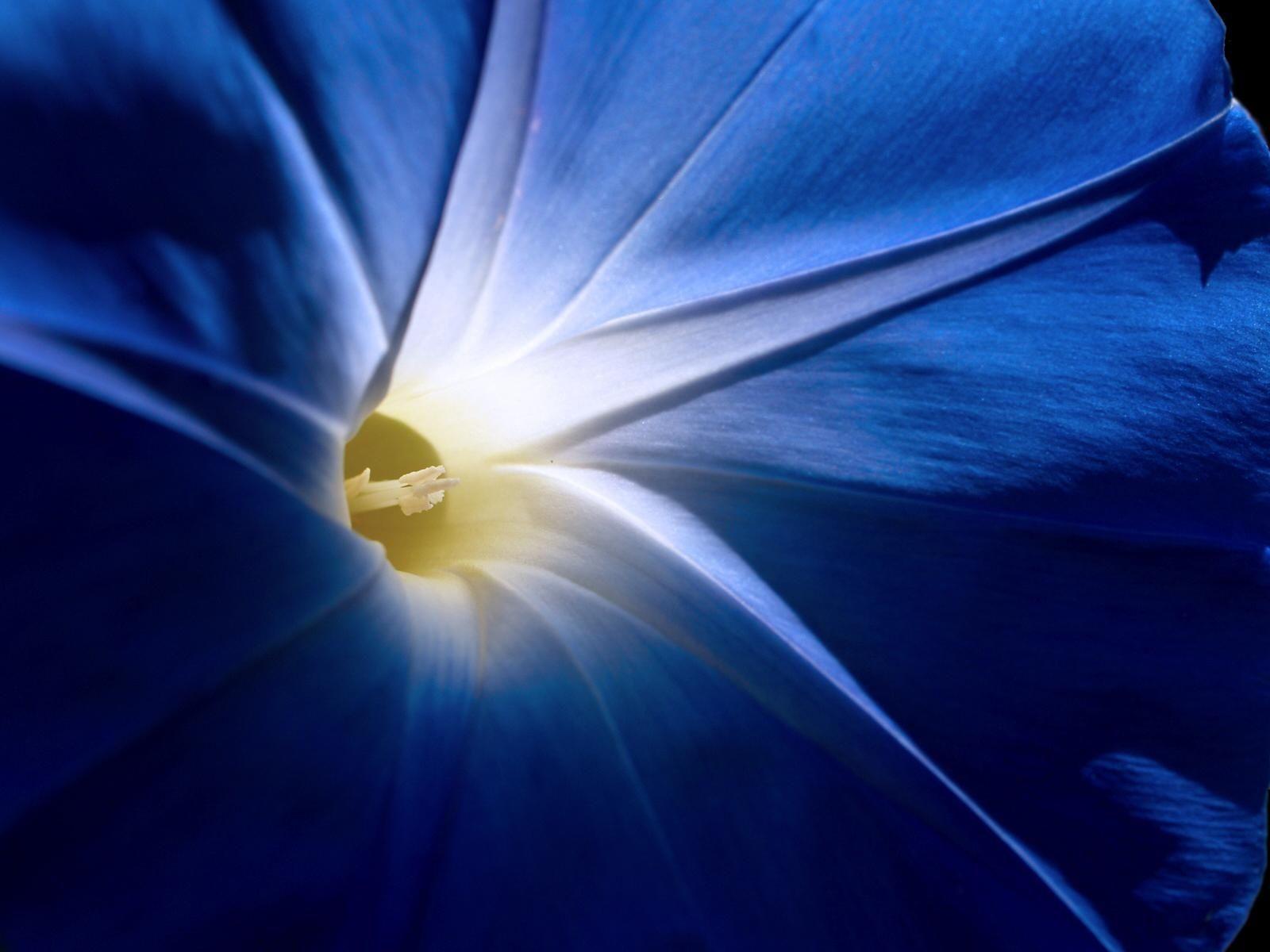 1600x1200 What's the Story MG? What though the radiance which was once so