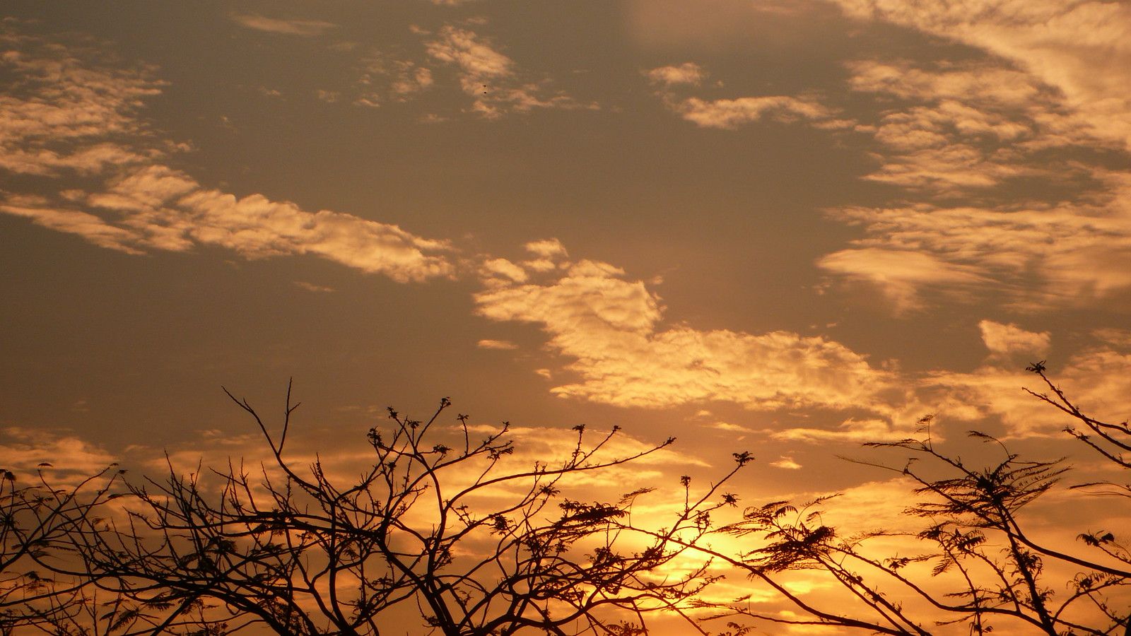 1600x900 Good weather sunset*