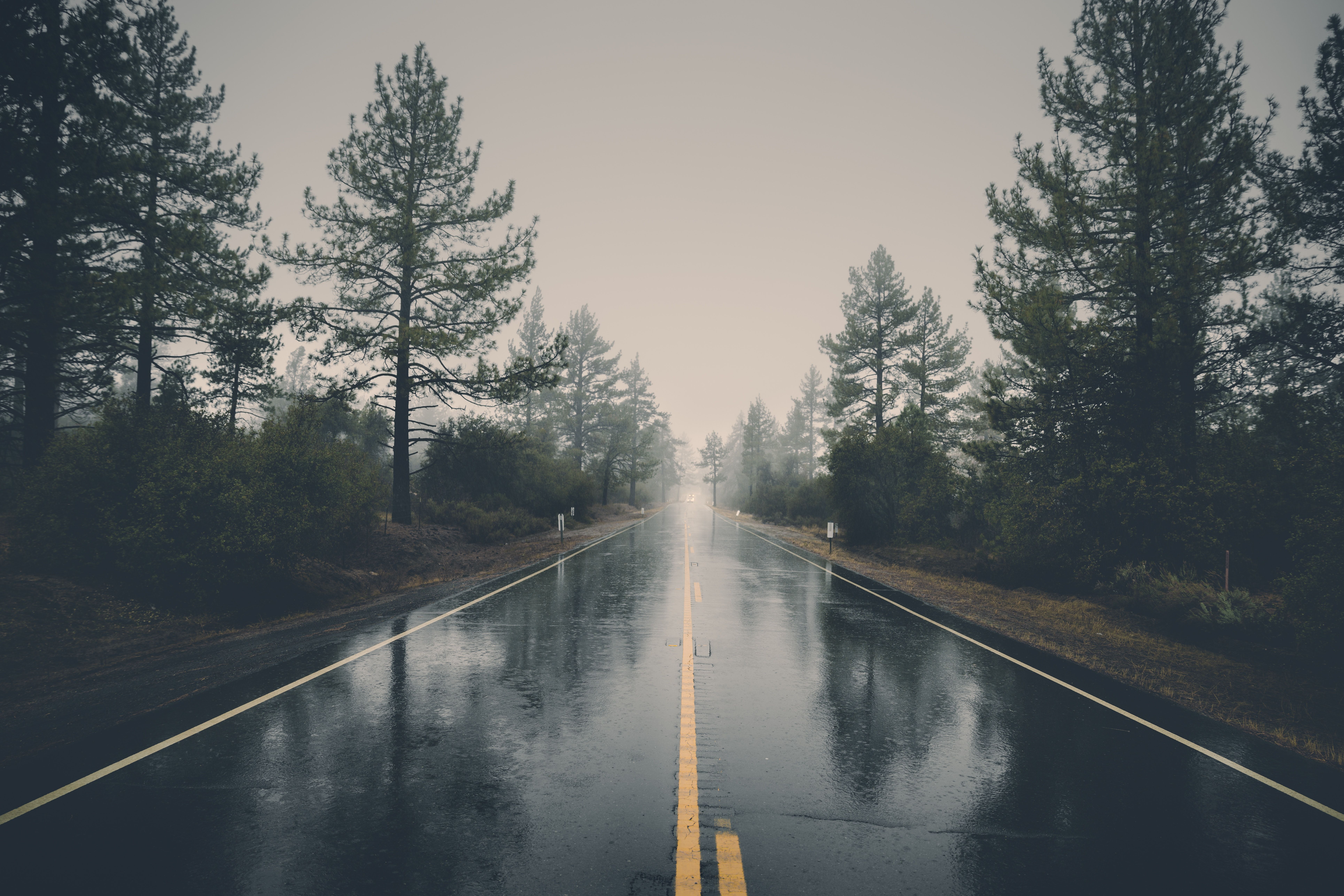 7718x5148 Trips and umbrellas